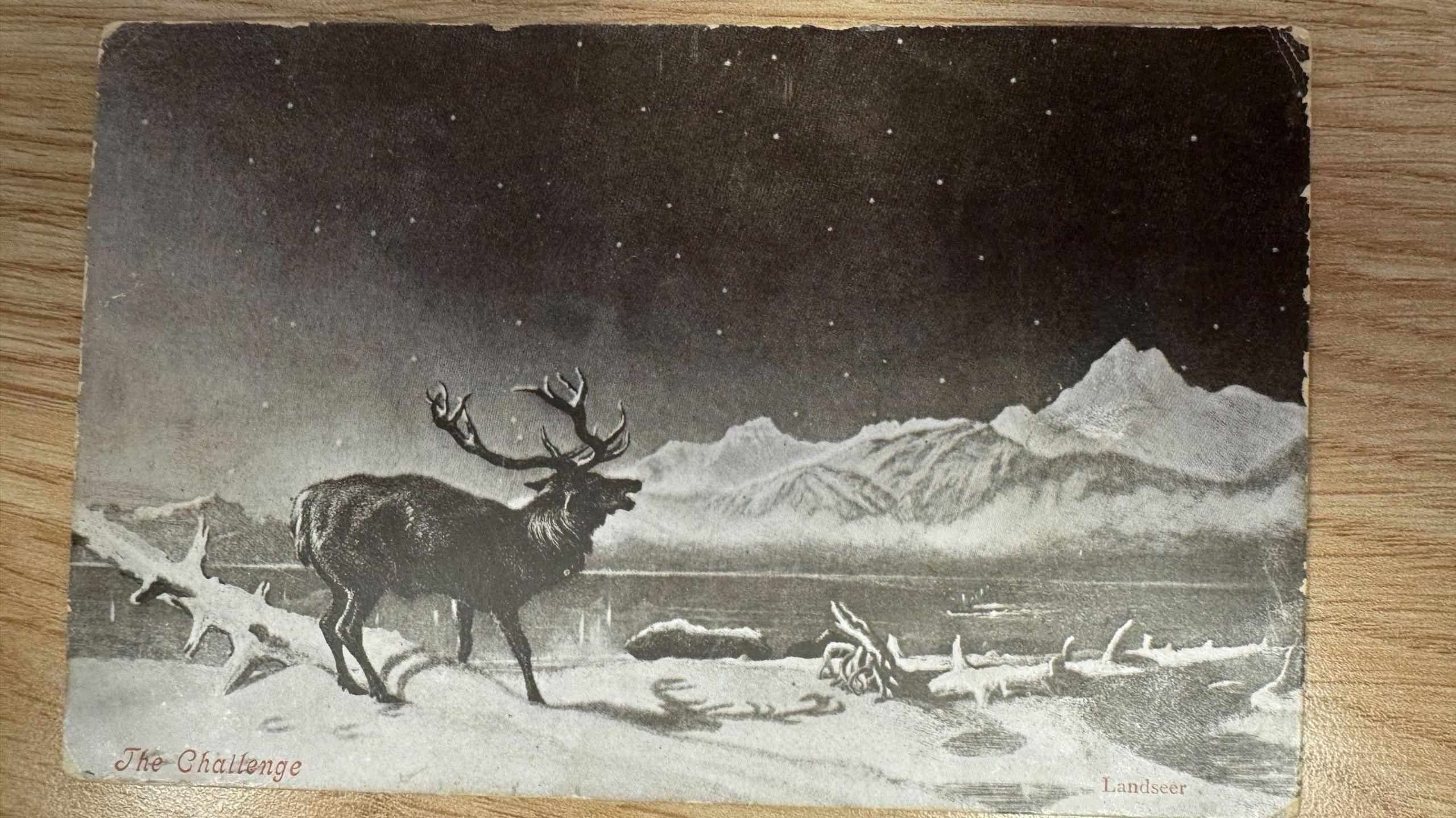 Photo of the postcard