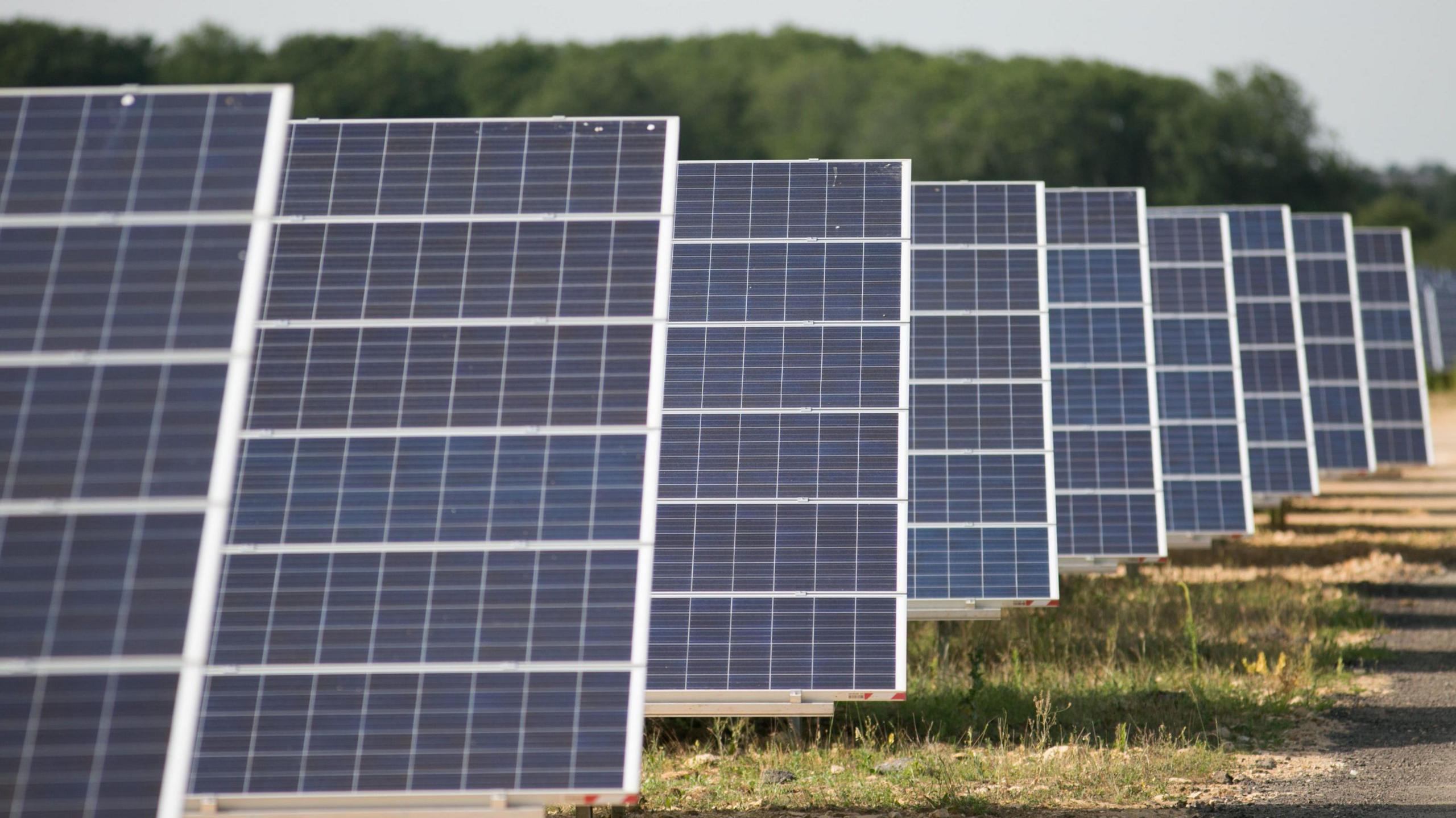 Large solar panels are lined up against each other in a field