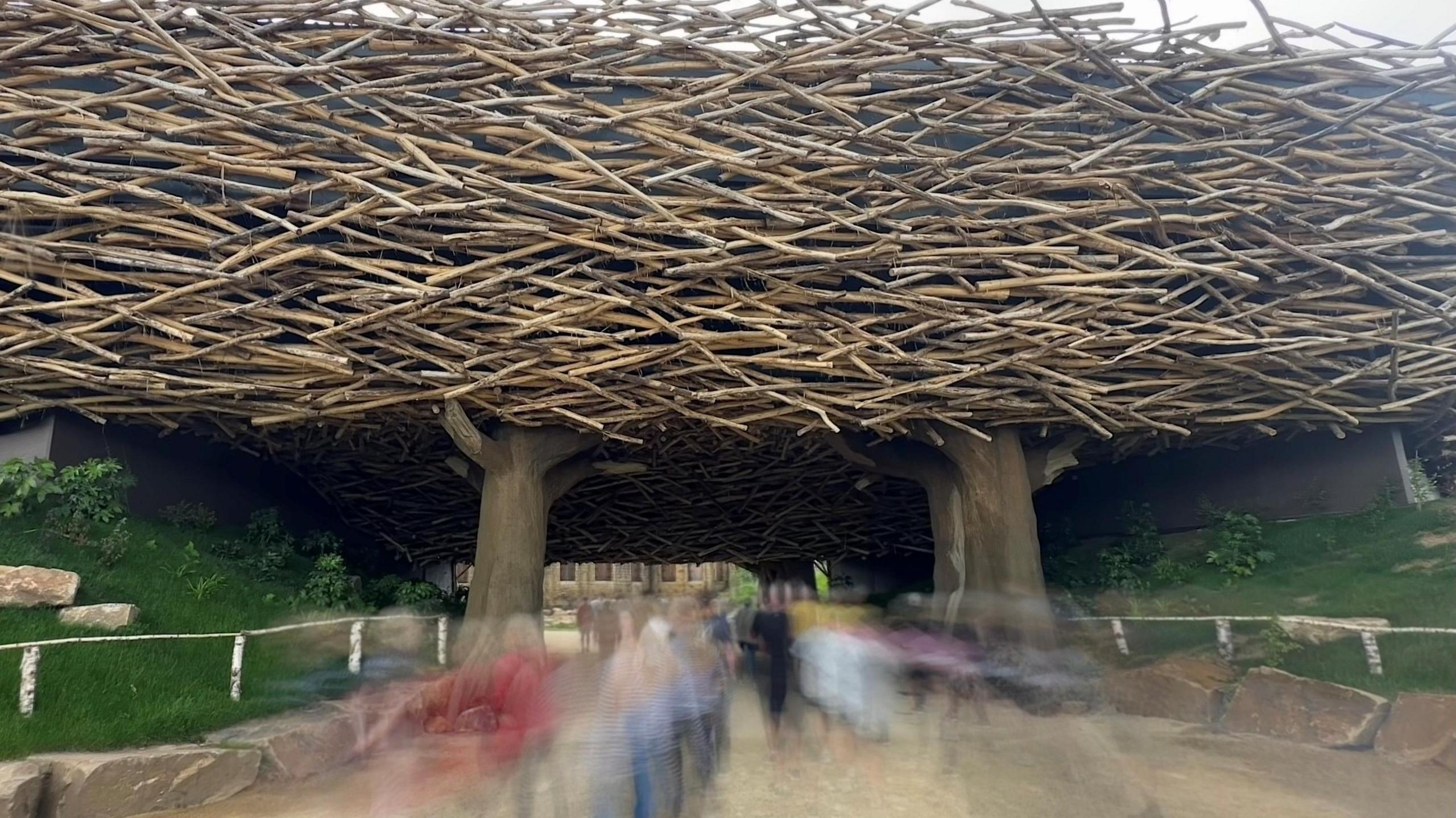 A blurry group of people walk into an arena, the outside of which resembles a giant bird nest formed of a mishmash of large wooden sticks.