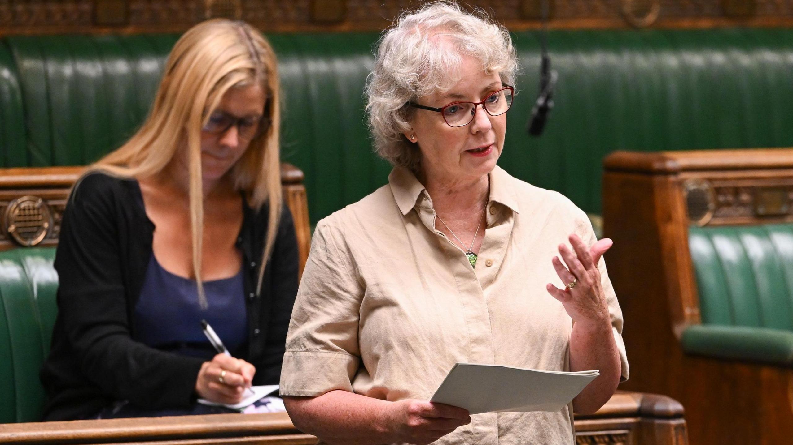 Karin Smyth speaking in the House of Commons