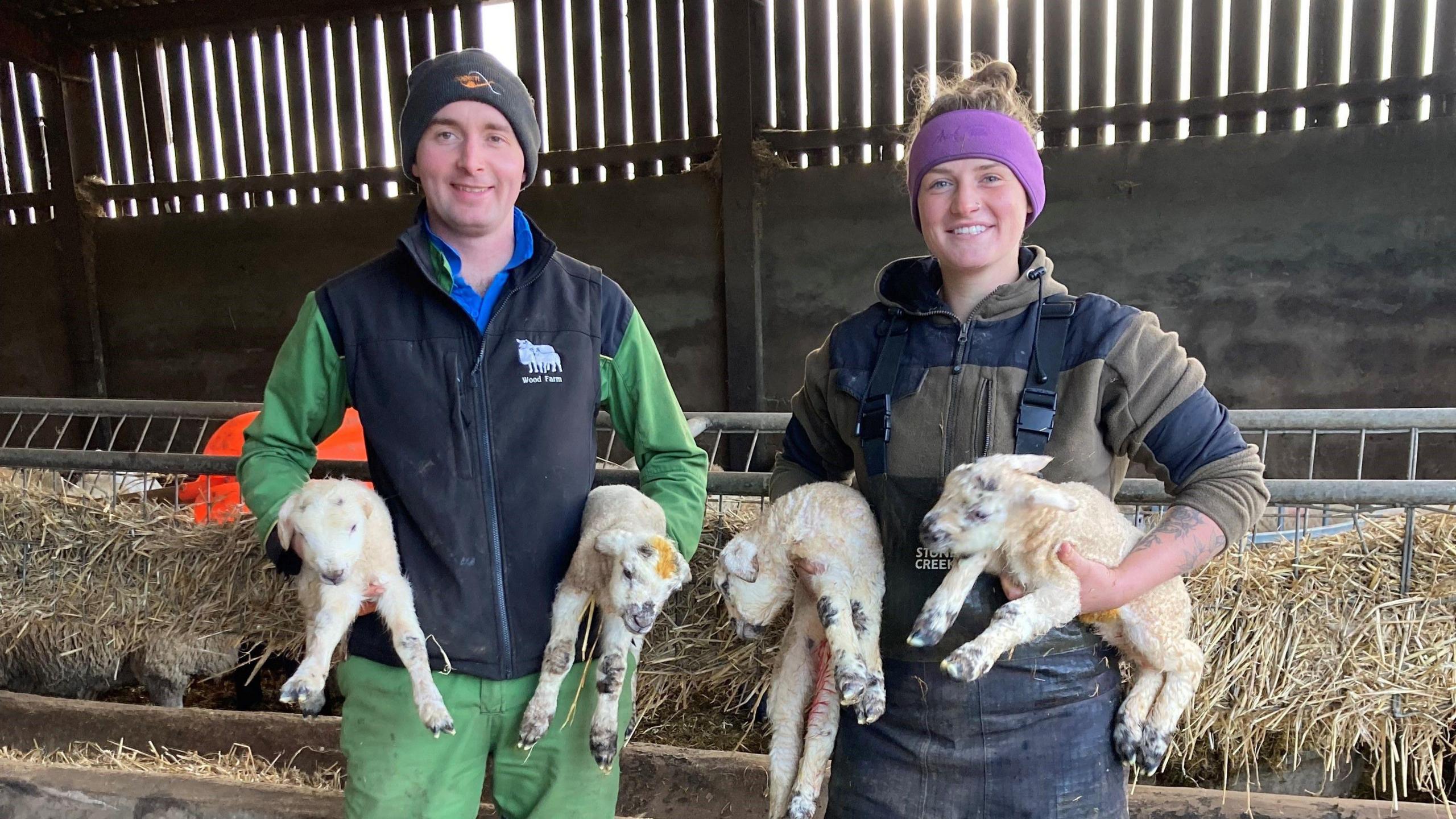 Farmer Tom Wilson and lambing assistant Beth Menzies holding lambs