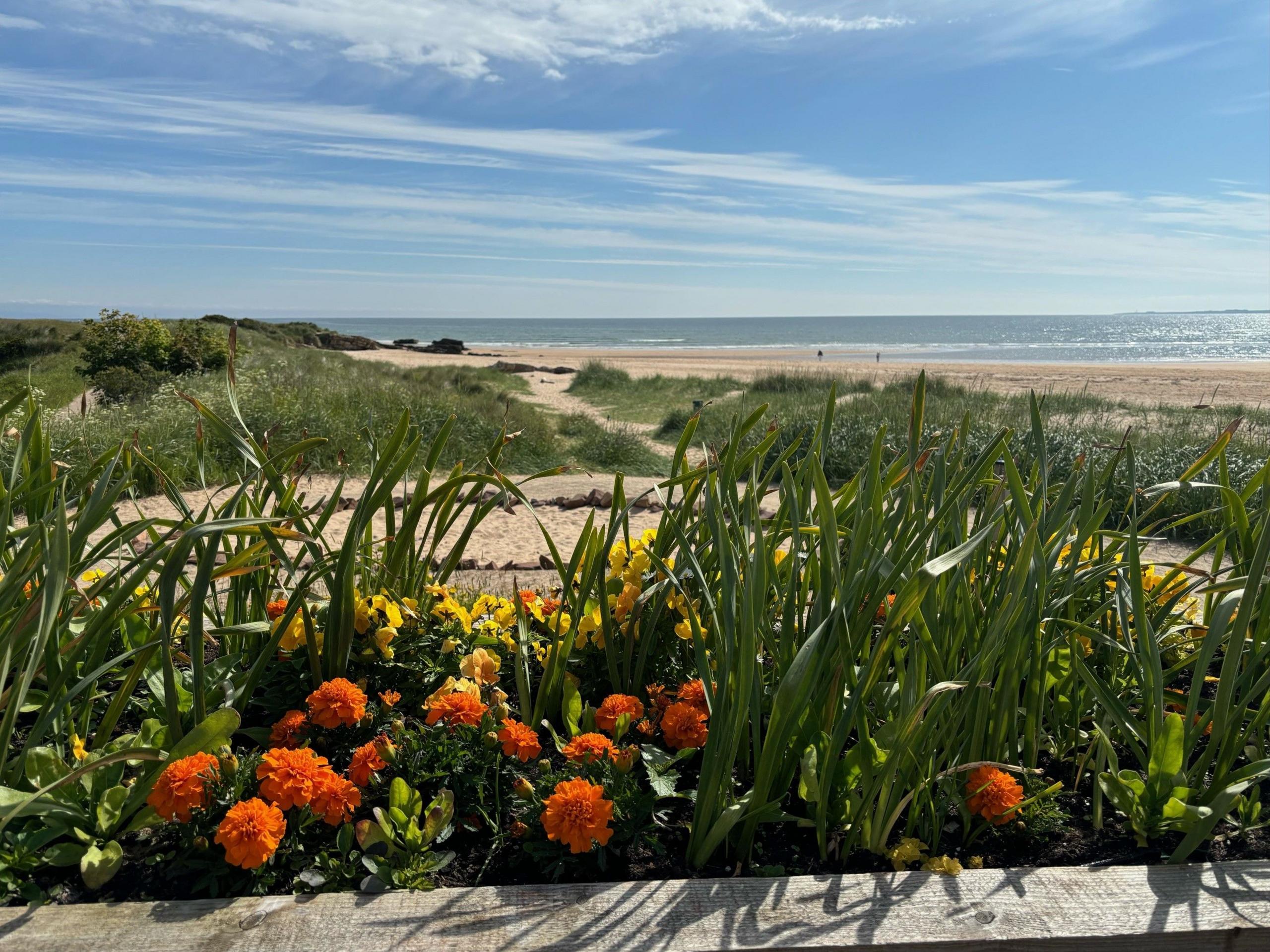 Dornoch beach