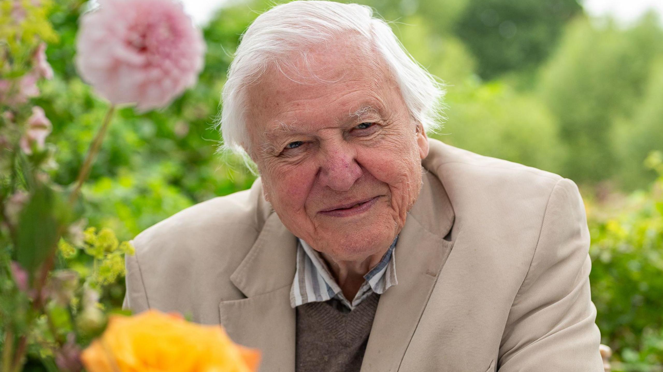 A white-haired man smiles into the camera. He is wearing a beige suit jacket with a brown jumper underneath. A striped shirt collar can be seen peeping out at the neck. He is in a garden with a pink flower behind him and a yellow one in front.