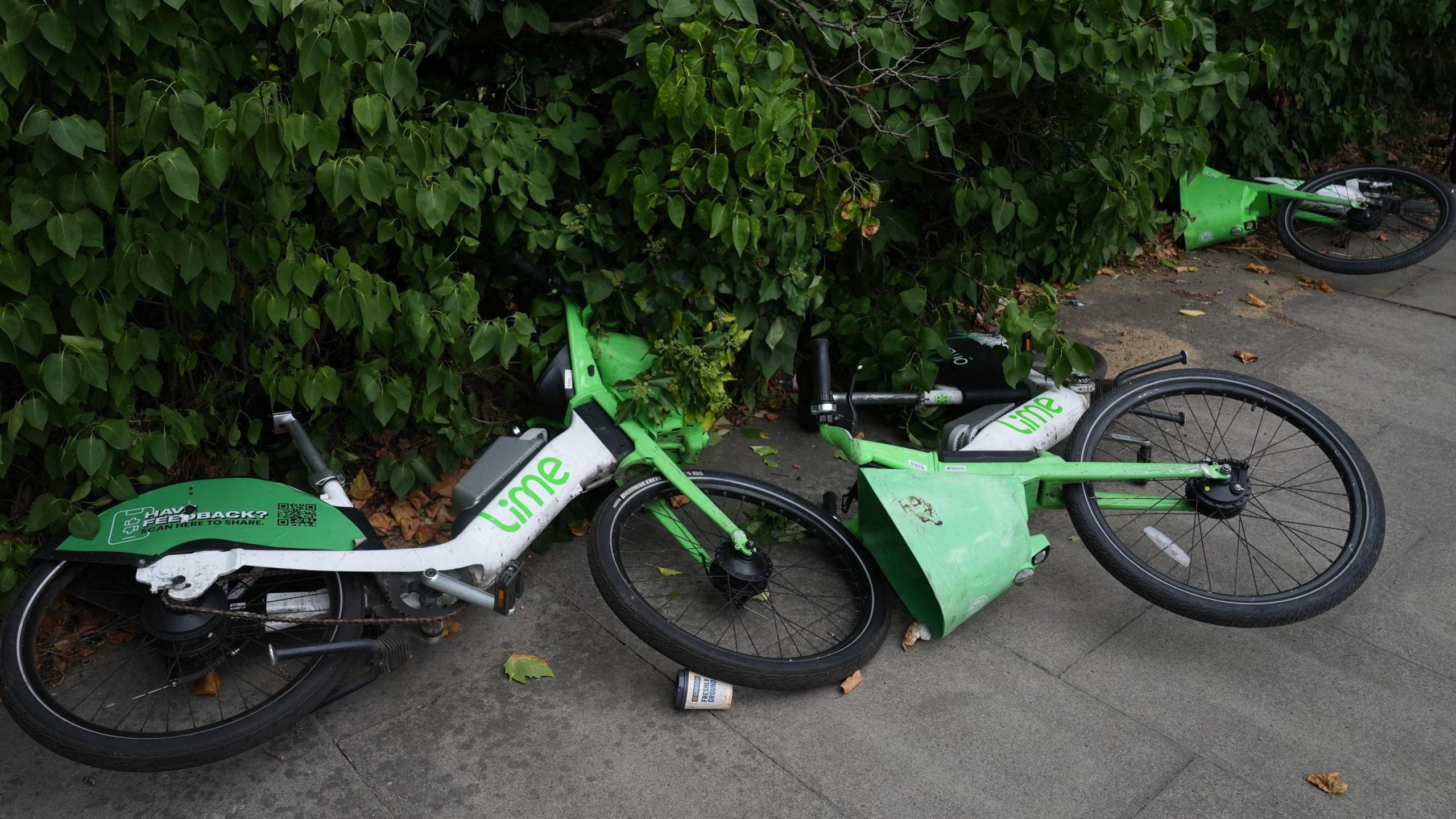 Three Lime bikes on their side on the pavement by a green bush.