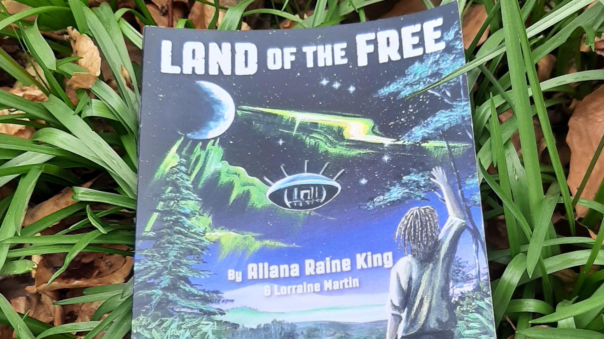 The book Land of the Free lies on grass. The cover shows a young man with long hair standing, looking up at the night sky with his right arm raised in the air. The moon can be seen in the top left corner, while a mysterious green light tracks across the sky.