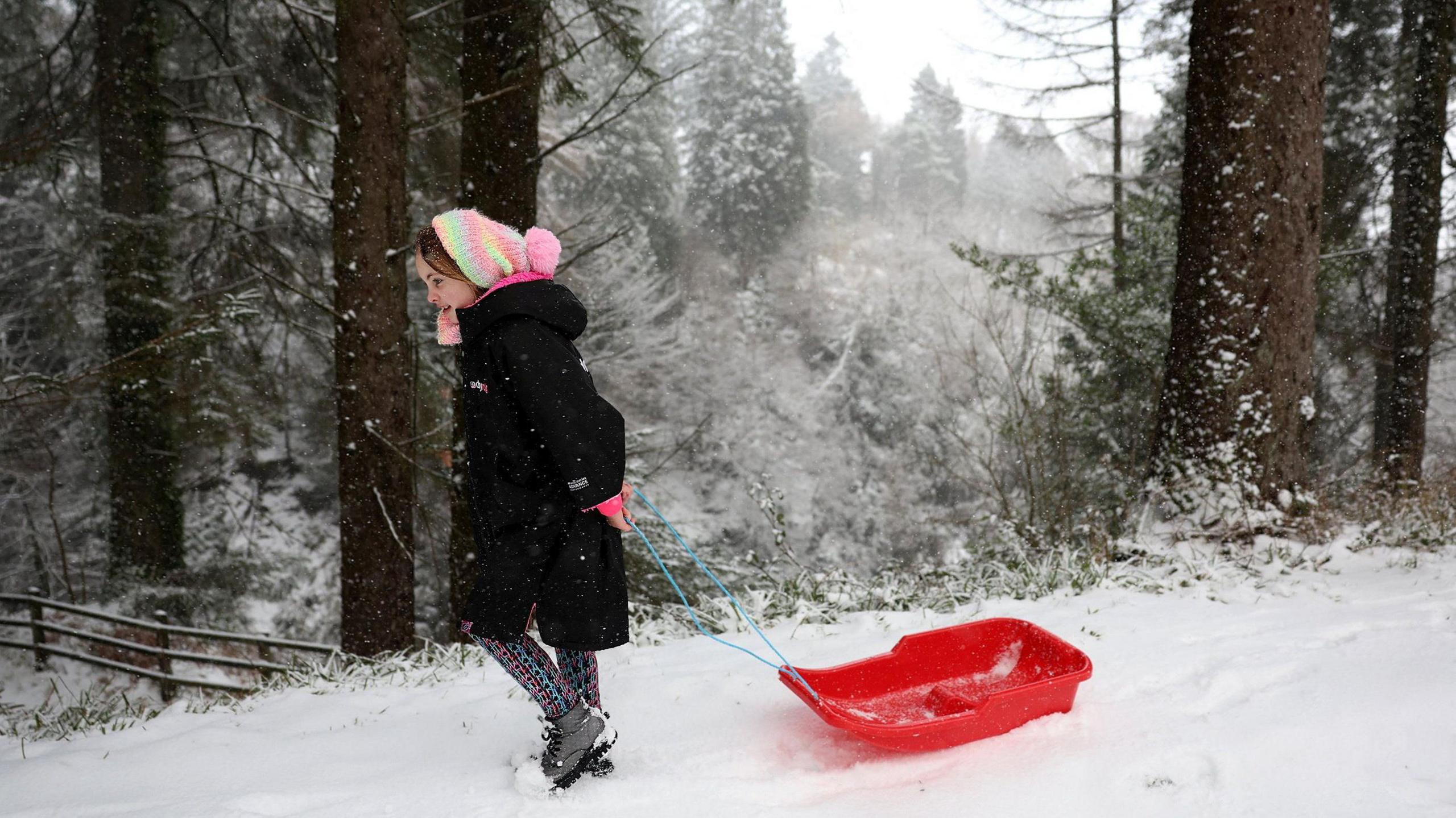 A girl pulls her sleigh in the snow in Northern Ireland.