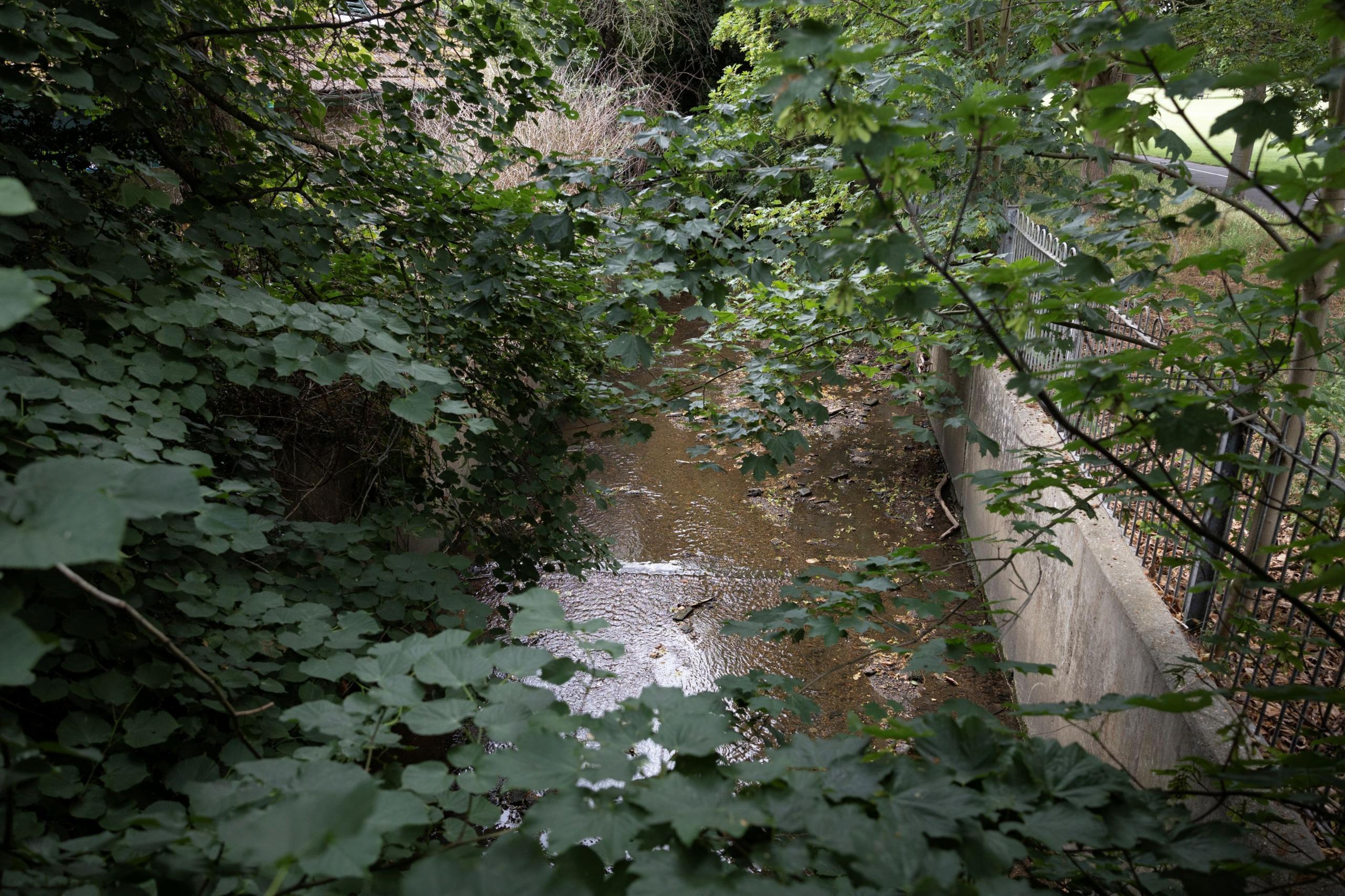 A bit of brown river