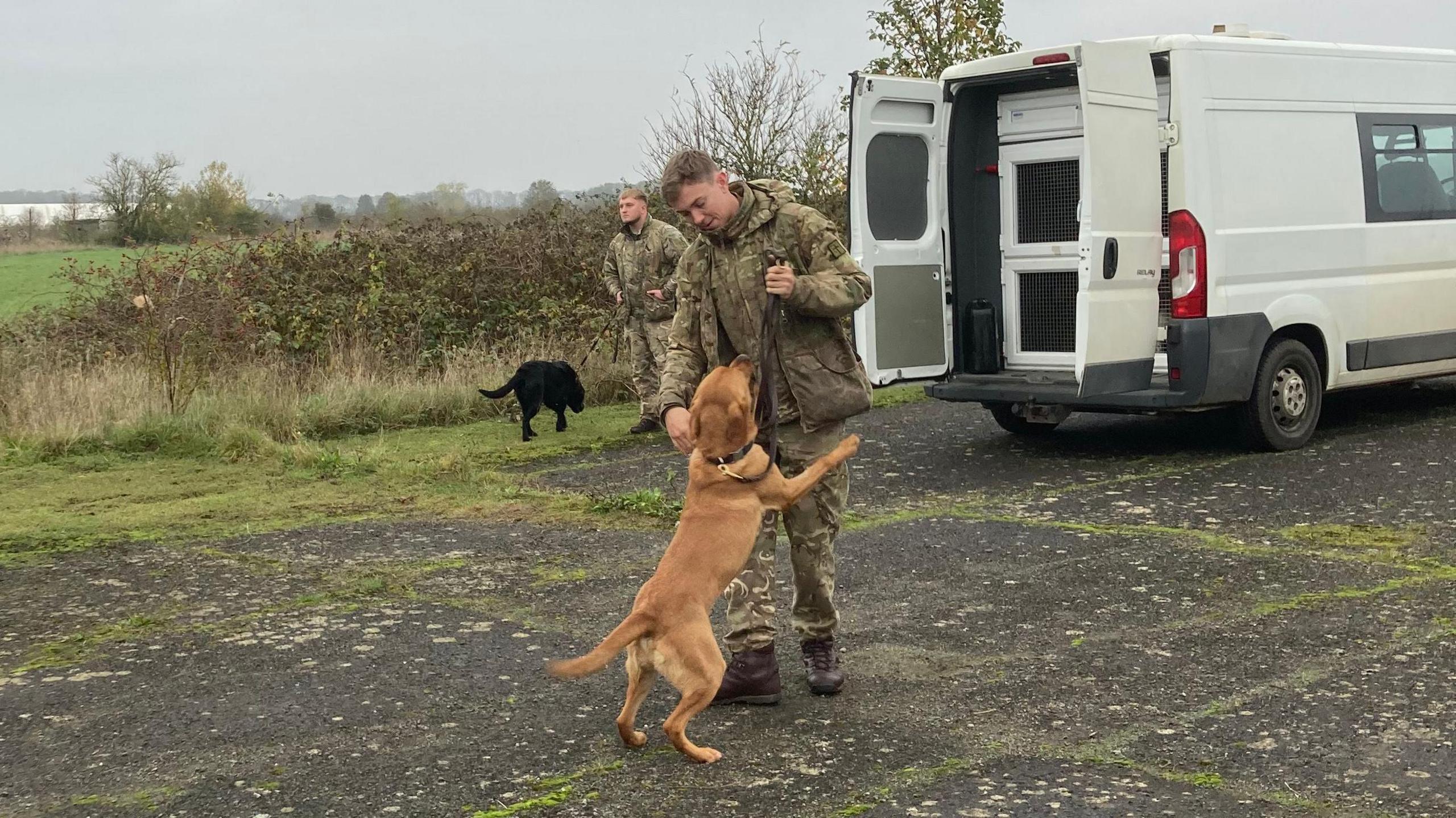 A dog jumping up on his handler near to a van parked in an open area of tarmac and grass