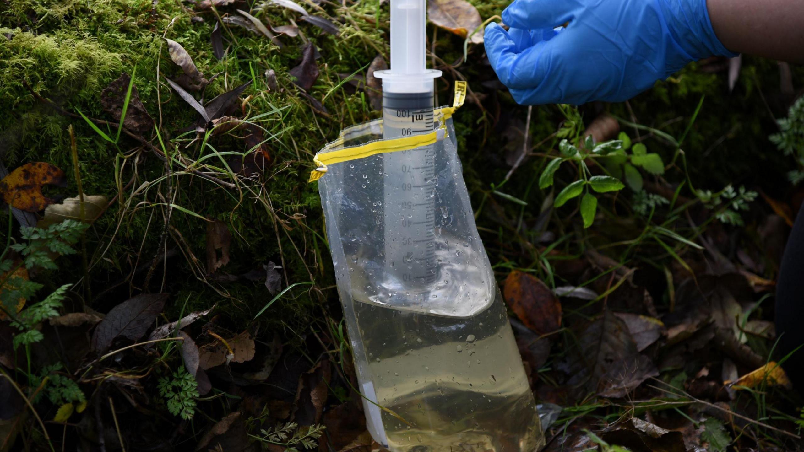 A plastic sample bag is being filled with water from a pond or stream, taking a water sample to find out what life it contains