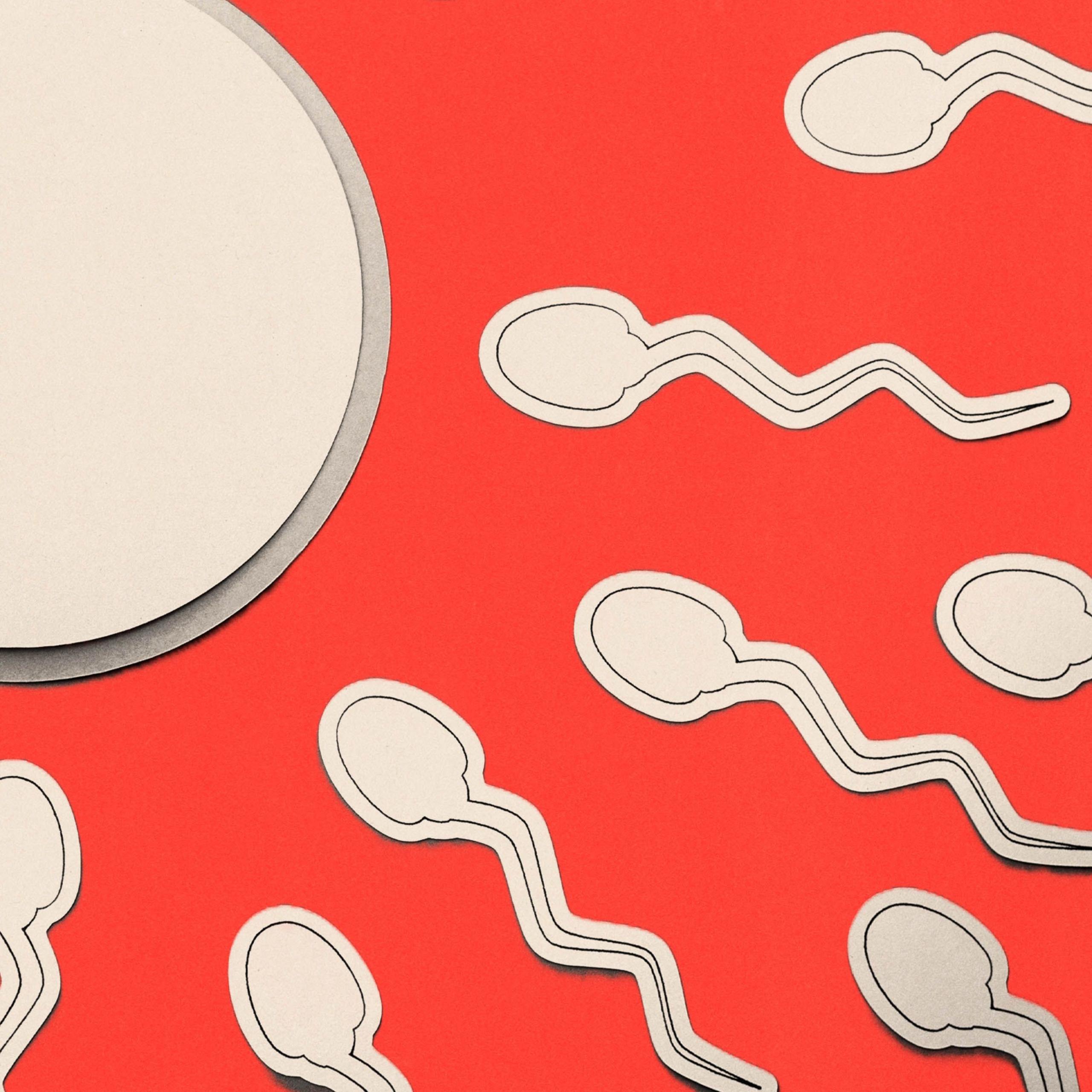 A red background with white sperm illustrations pointing towards an egg shape