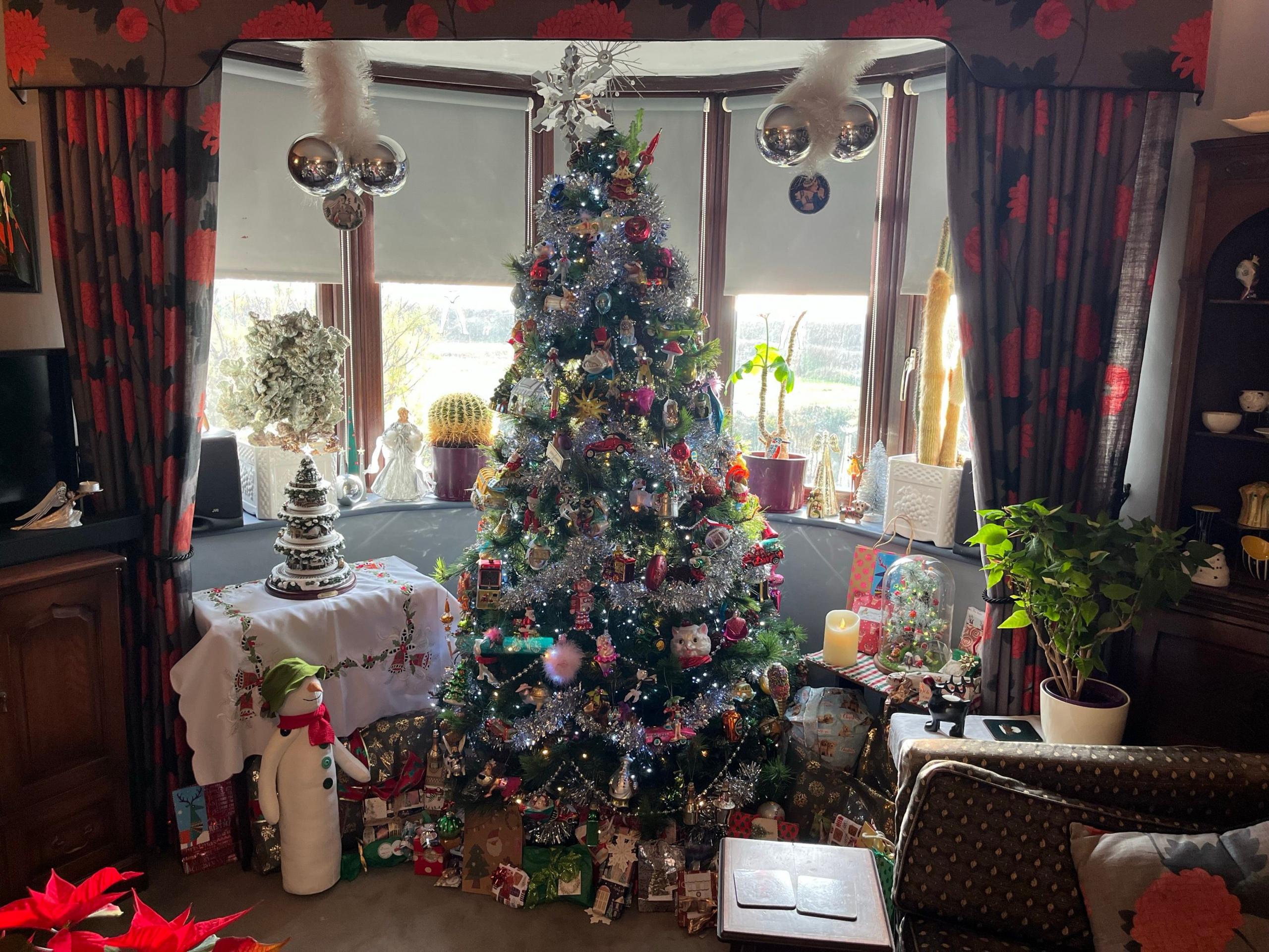 Living room looking out the front of the house with a fully decorated silver tree in the middle