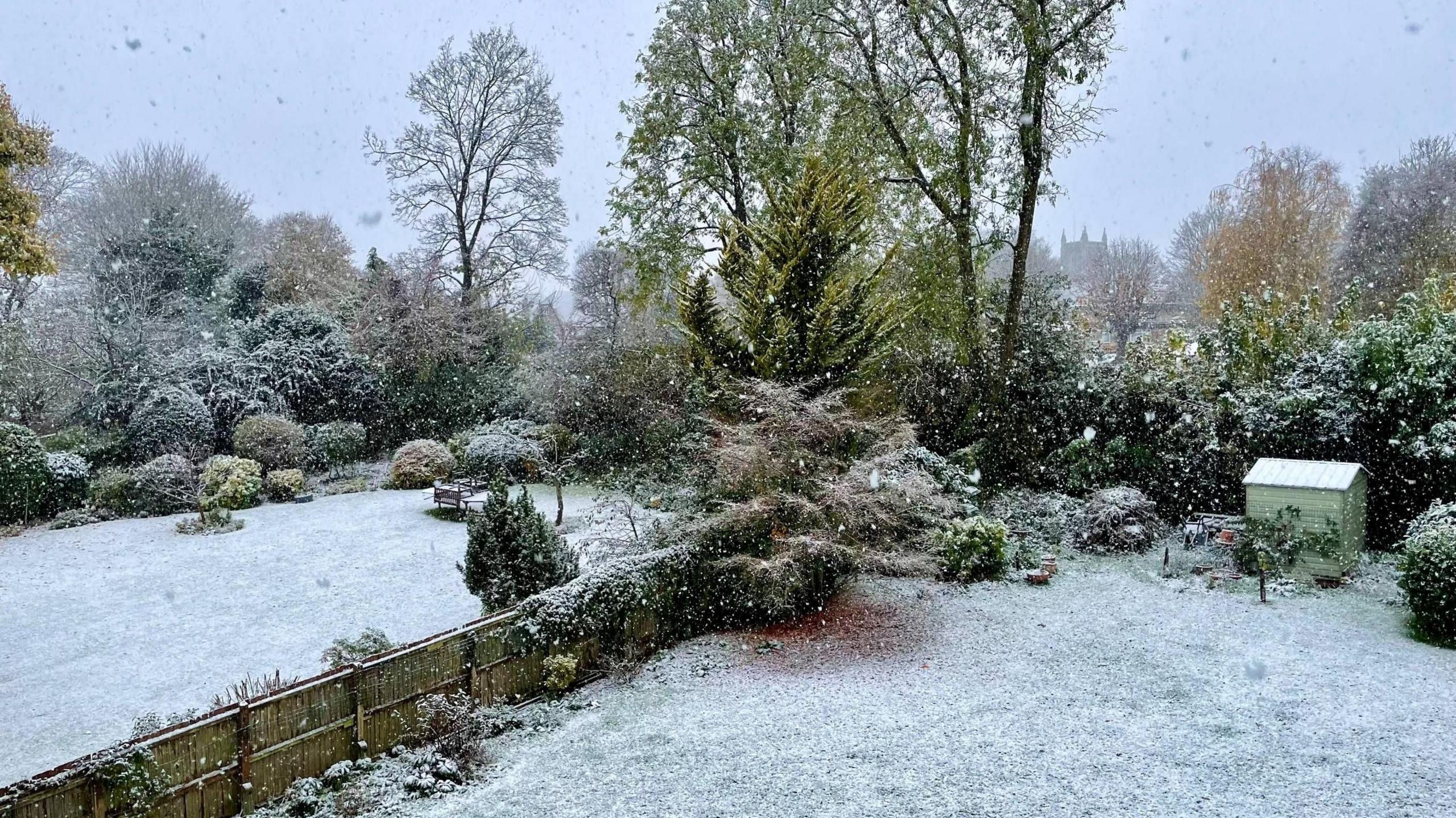 Garden scene with dusting of snow