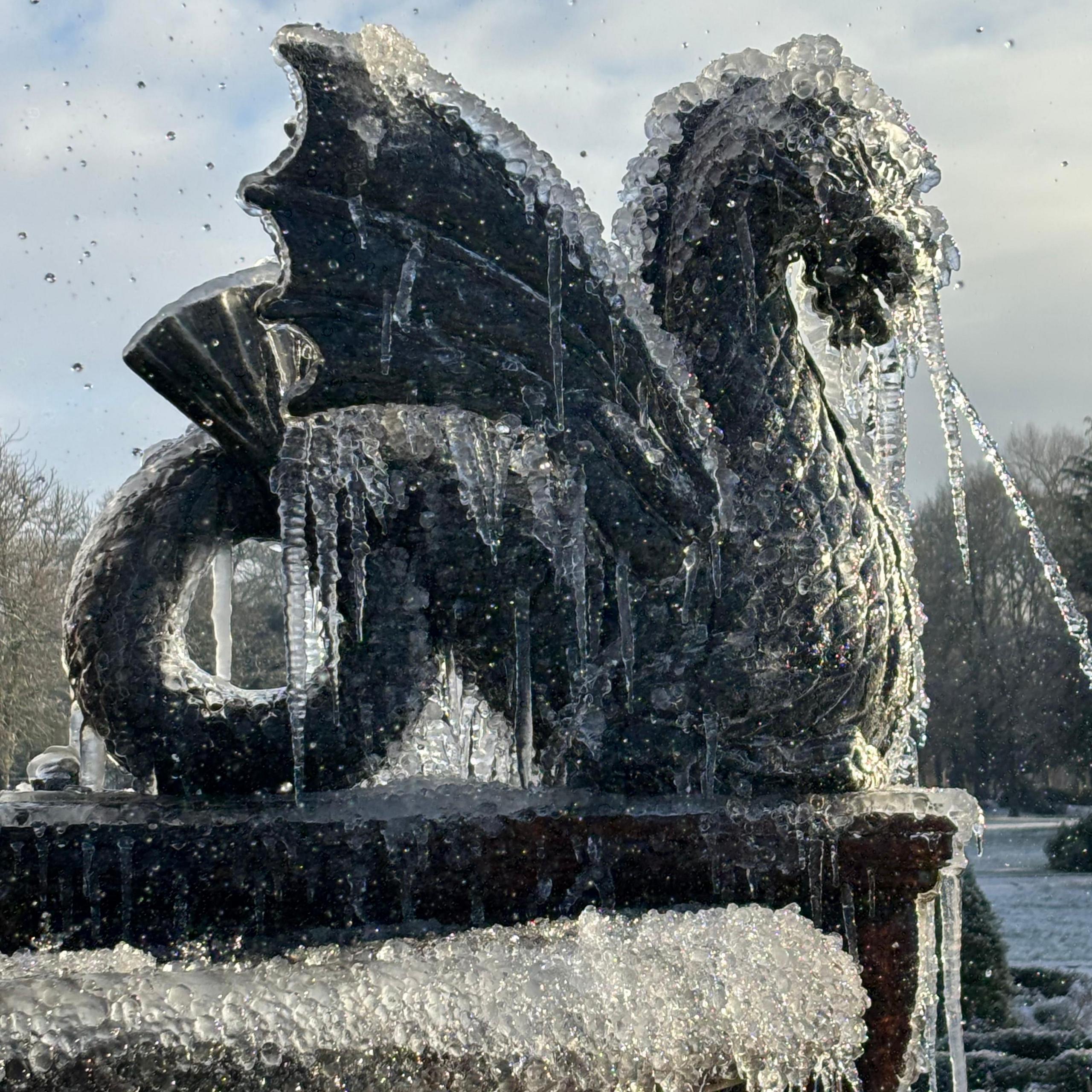 A statue of a dragon on a fountain. The statue has been completely encased in the frozen water, with icicles hanging off it.