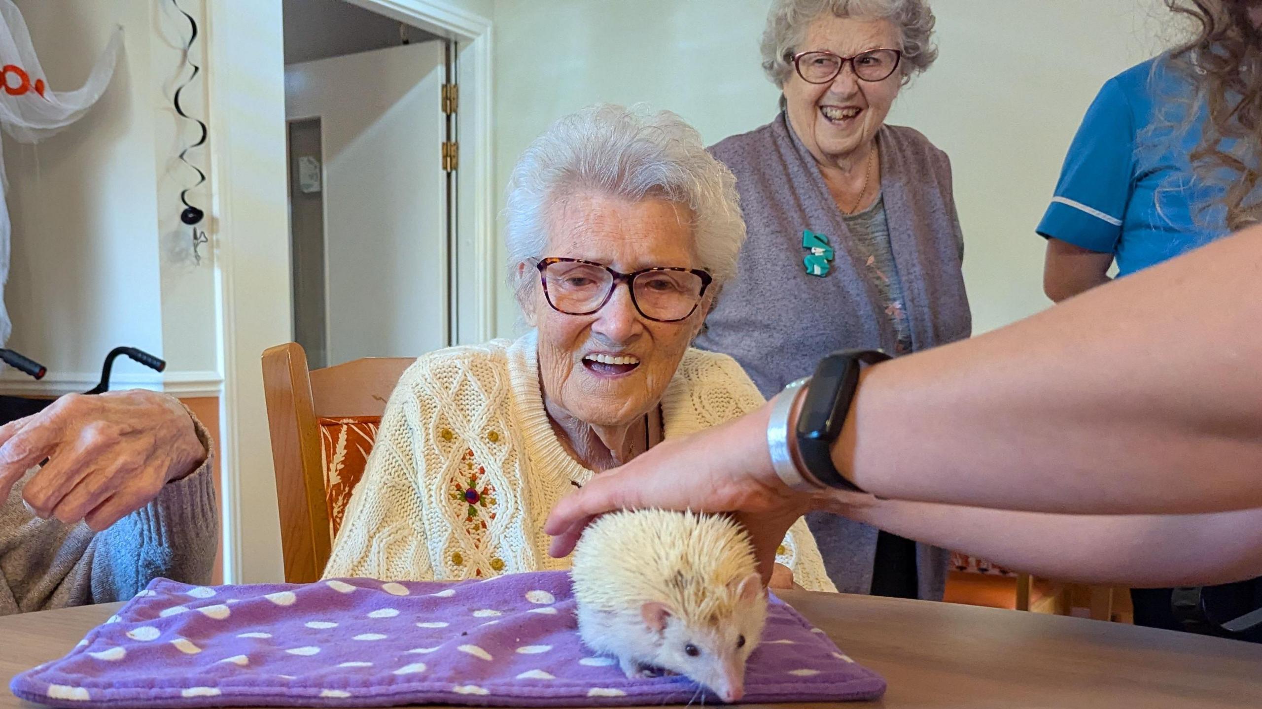 An elderly woman sits at a table, looking at a small white hedgehog resting on a purple cloth with white polka dots. Another elderly woman stands behind her smiling widely and a third person’s arm is visible in the foreground, gently petting the hedgehog. The background features hanging decorations and an open, white door.