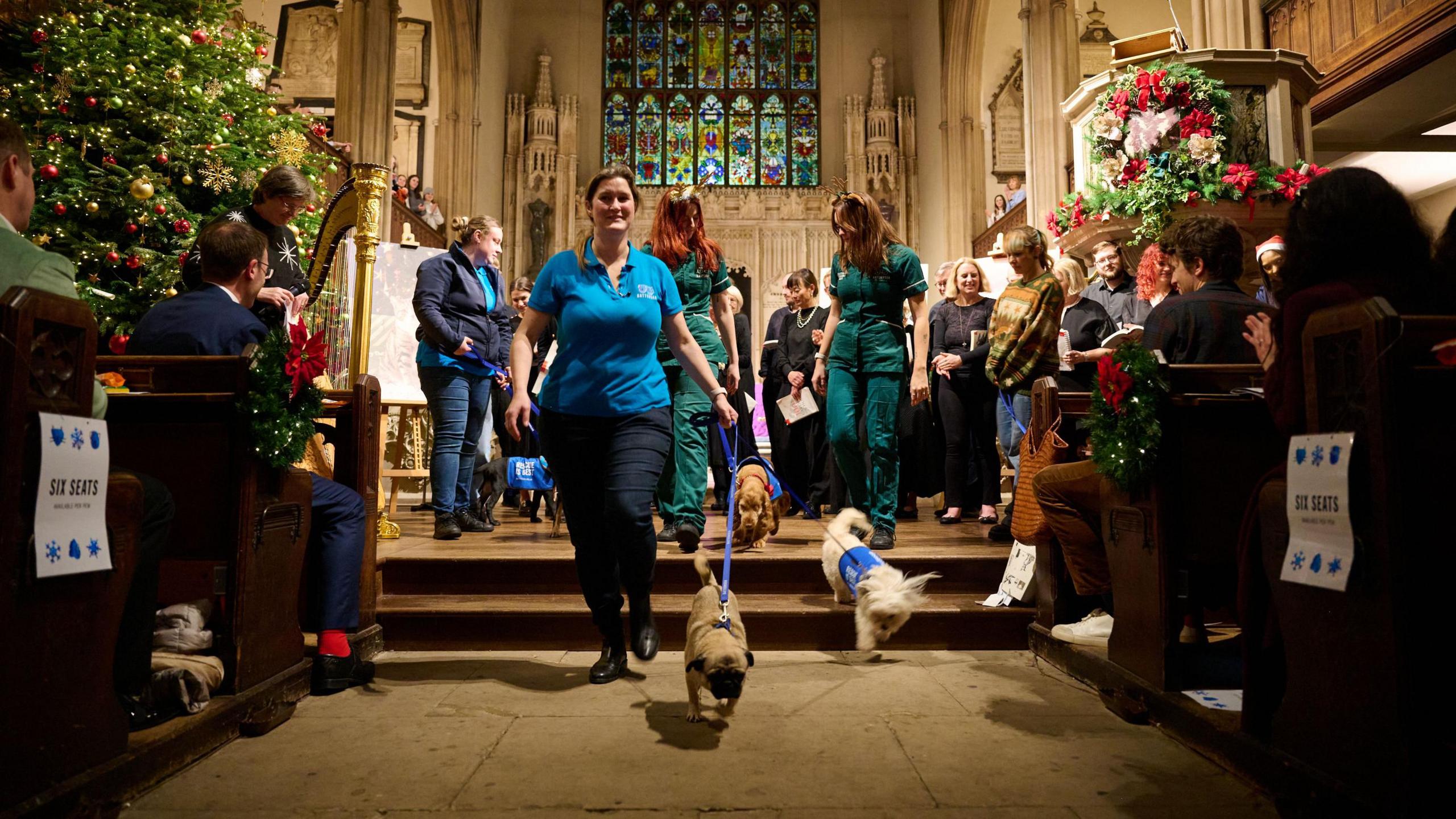 Battersea dogs at the carol concert in aid of Battersea Dogs home. 