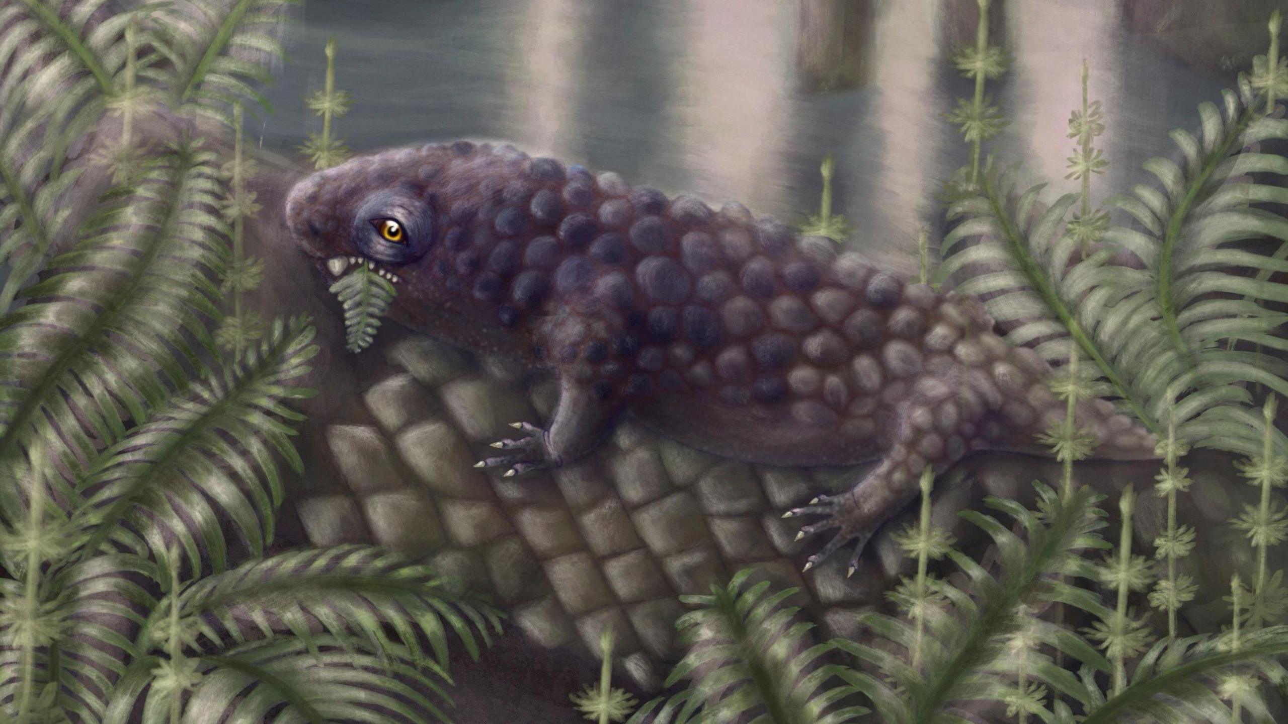 An artist's reconstruction of Tyrannoroter heberti, a small lizard-like animal with black bobbled skin, shown eating ferns. 