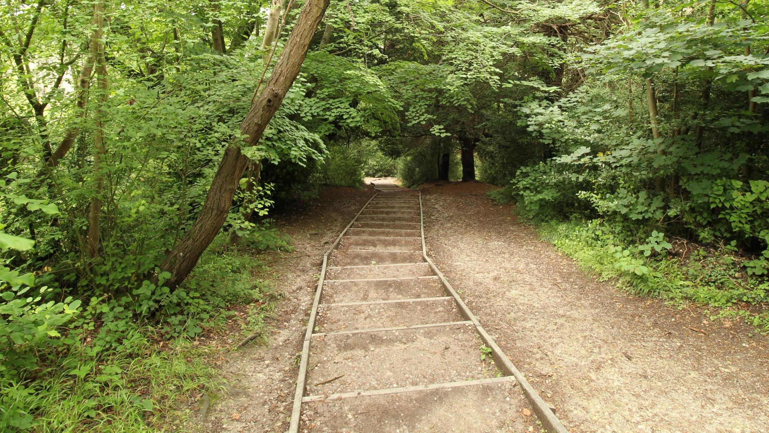 The refurbished steps at Box Hill