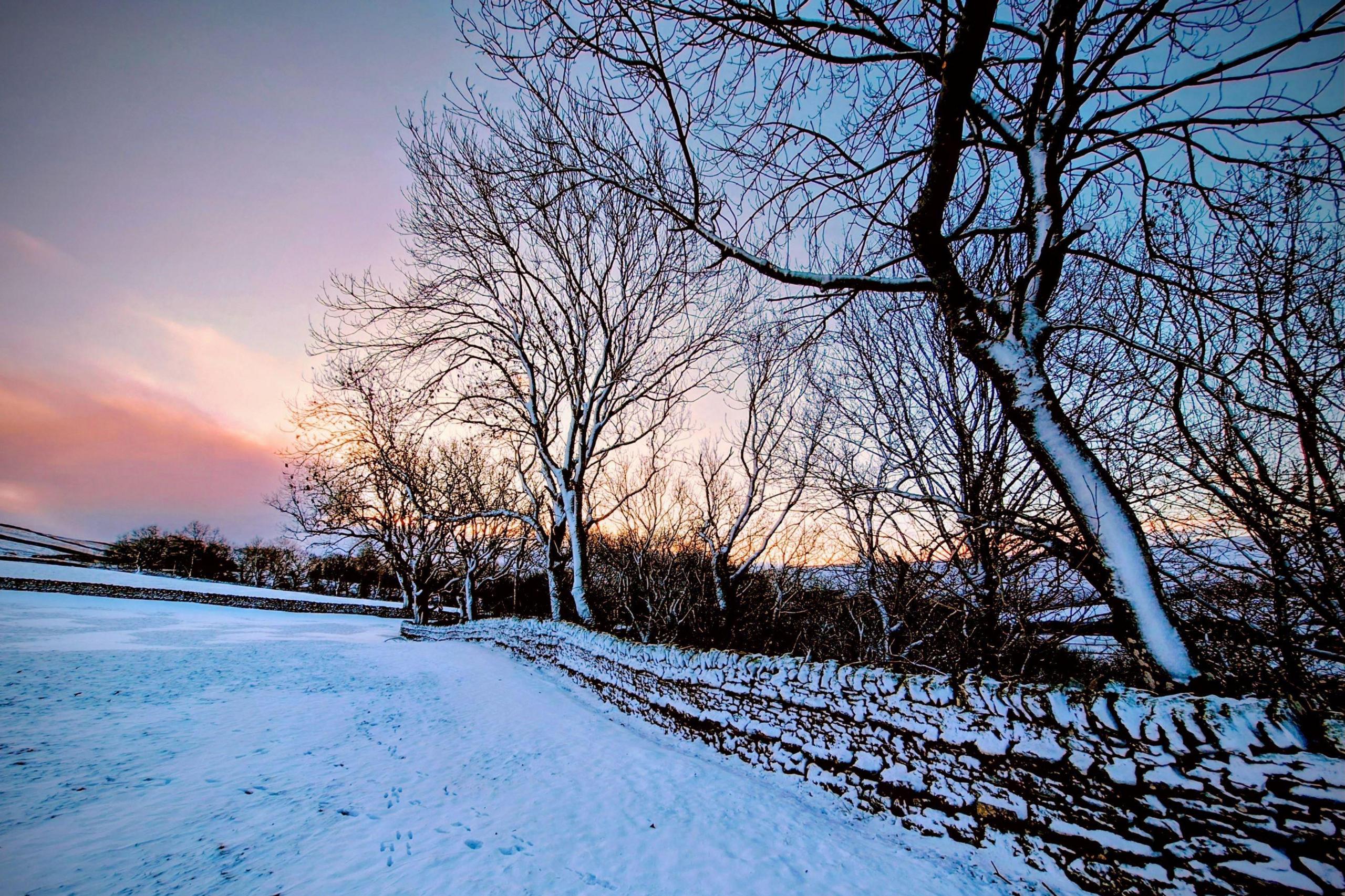 The field and surrounding trees are dusted with bright white snow. The sky has pink and purple hues.