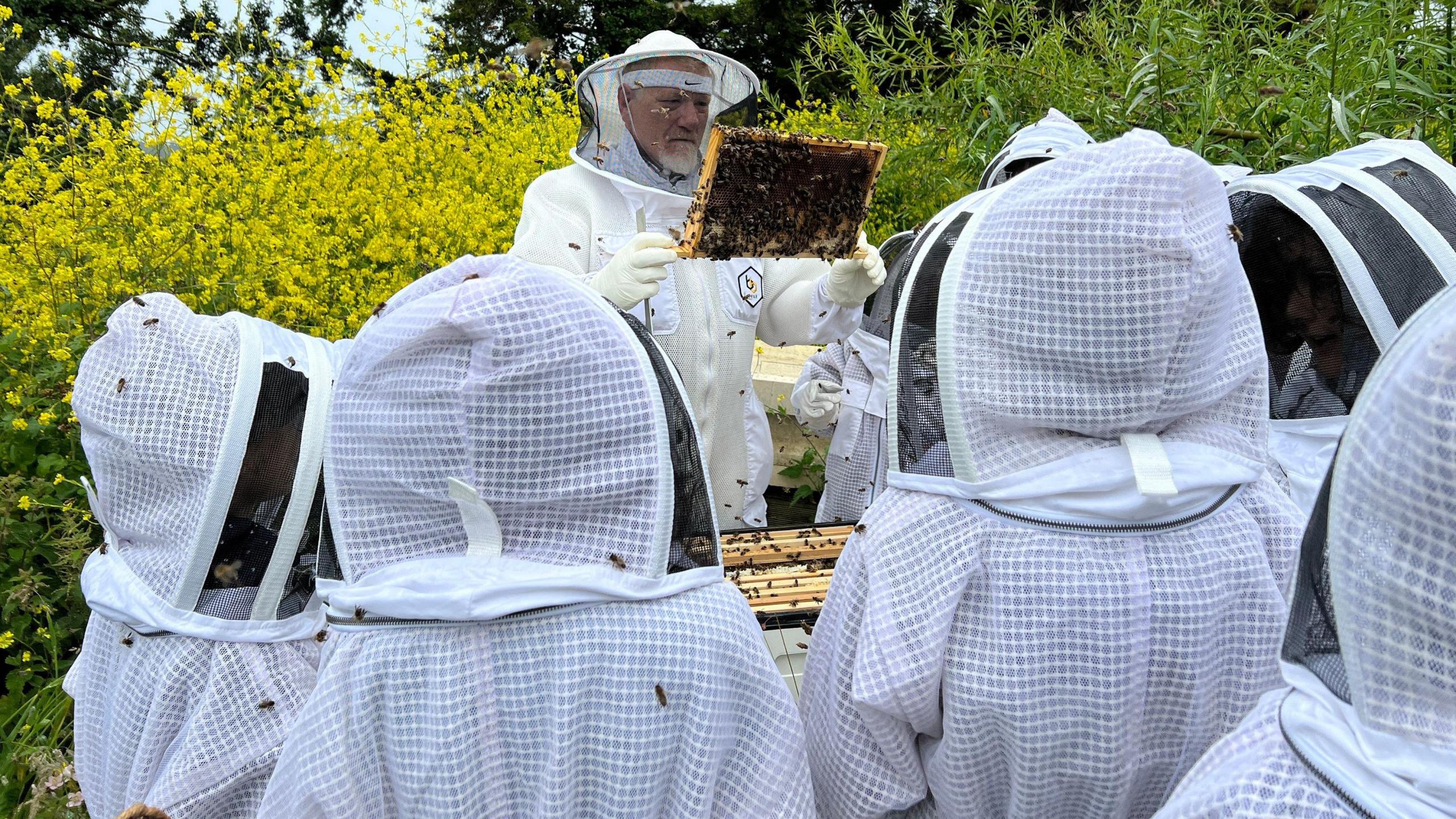 A group of pupils in beekeeping suits are looking at a beekeeper who is holding a section from a beehive while bees swarm it and there are several insects on the students