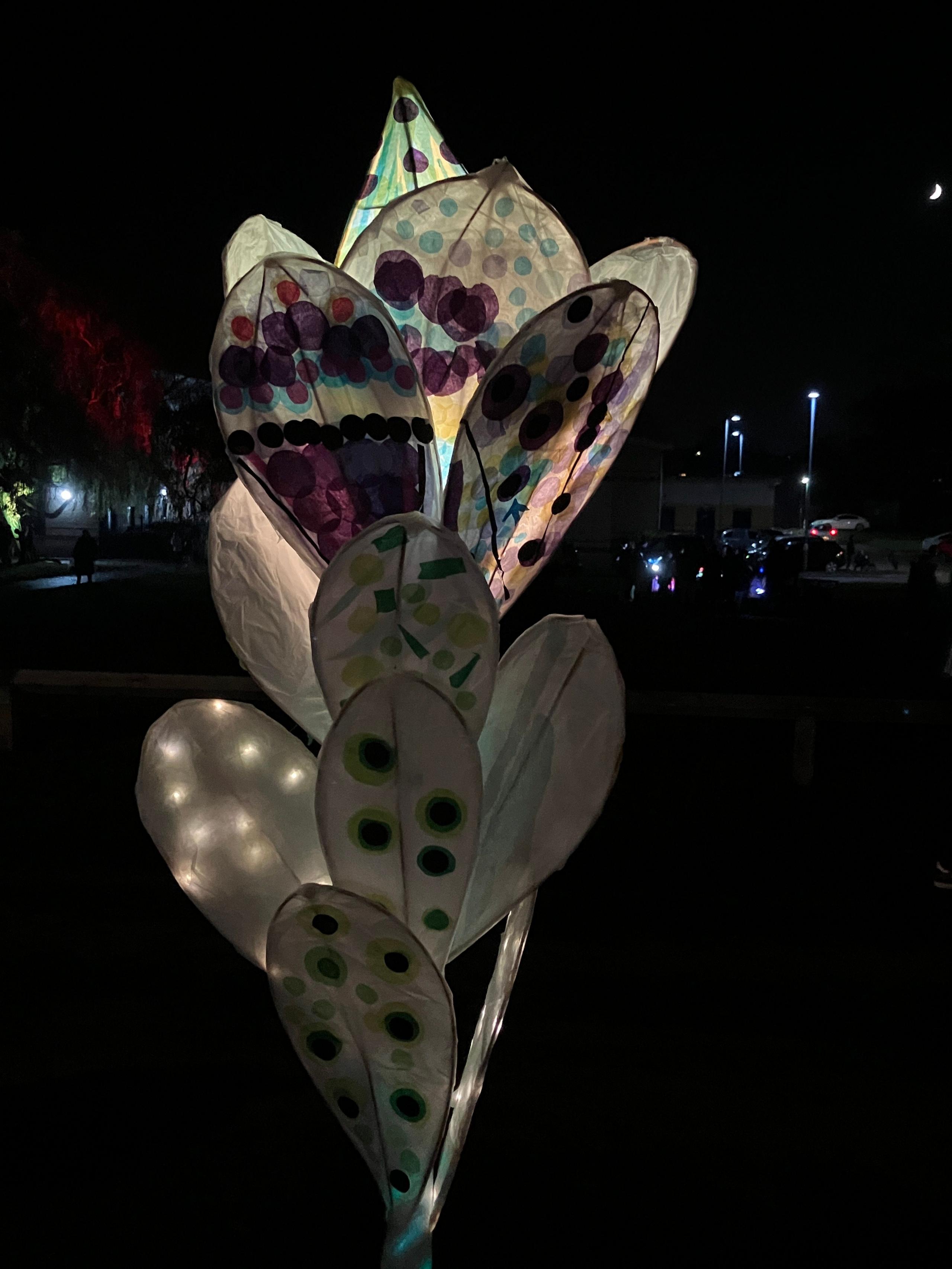 A large lit-up flower lantern.