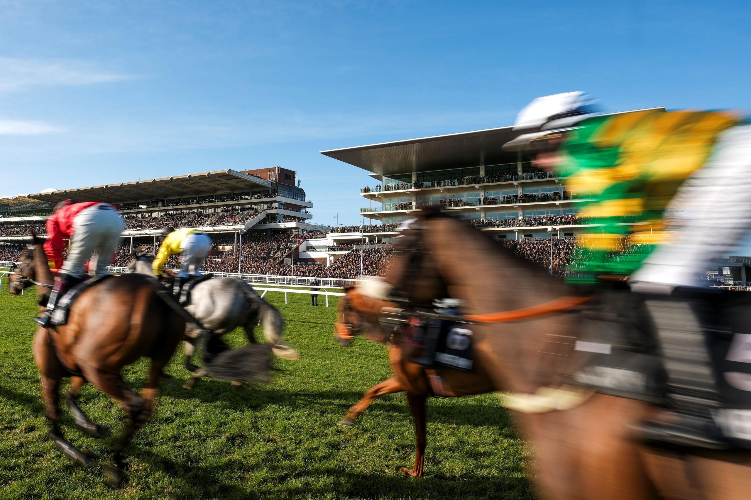 Four horses are running on the track at Cheltenham Racecourse. They are moving at such a fast pace that the horses and jockeys are slightly blurred. A stand filled with crowds can be seen in the background.