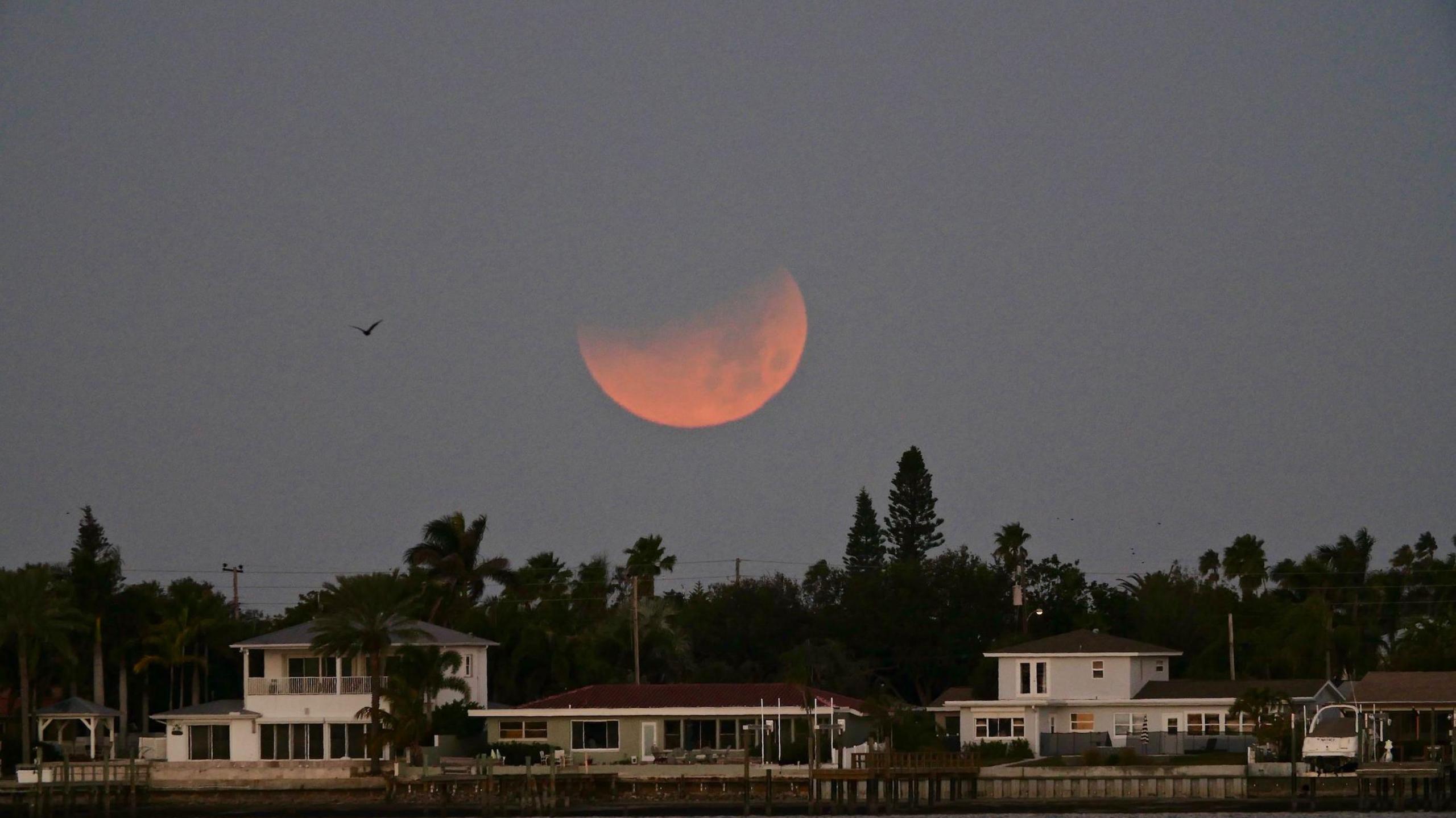 A partial lunar eclipse above houses by a body of water at moonset, the moon appears red in colour.