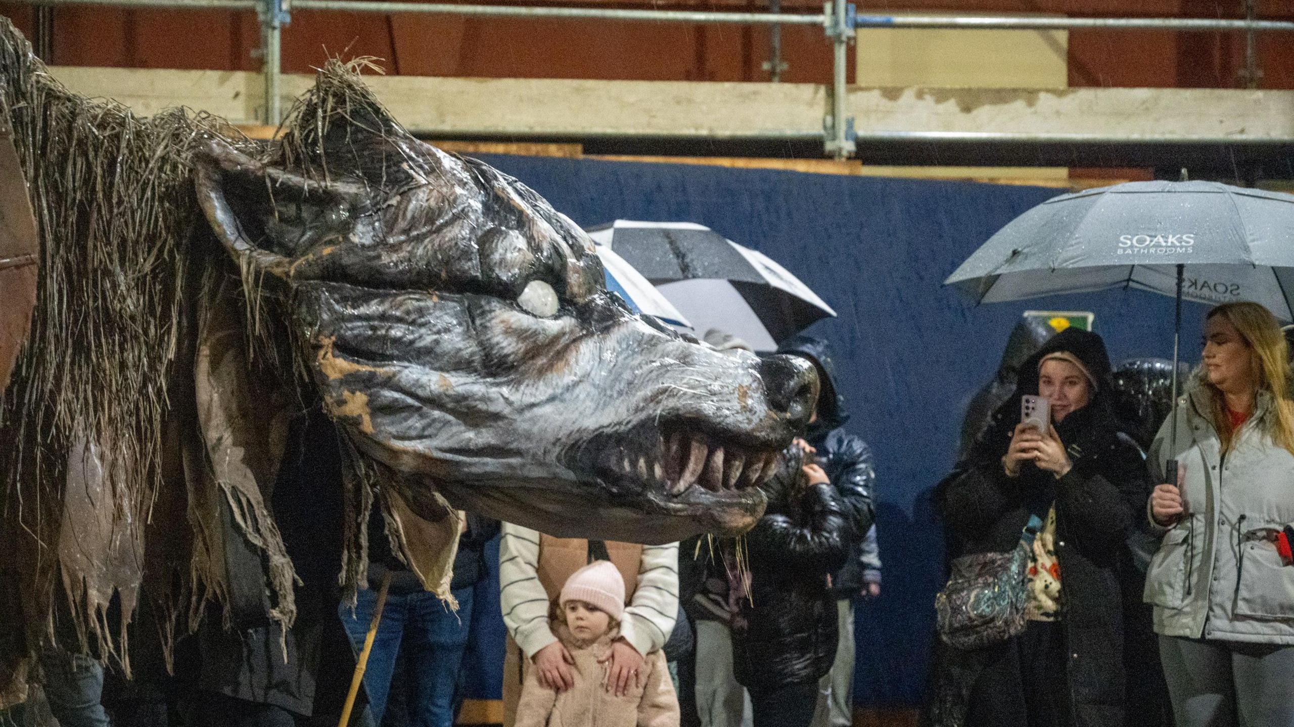Shows a large 6-ft tall she wolf puppet in front of people with umbrellas