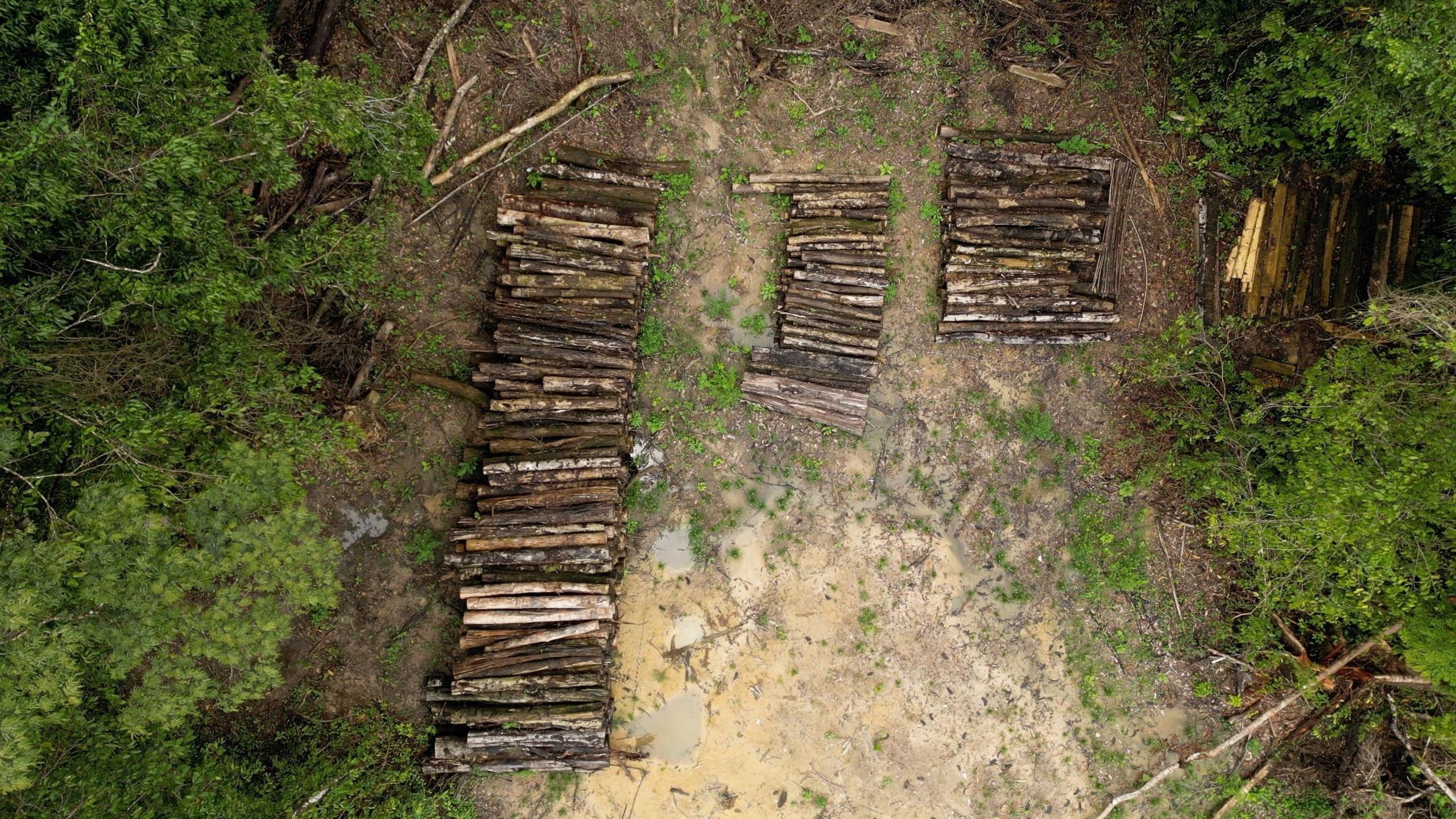 Drone footage shows logs piled up in the Amazon rainforest.