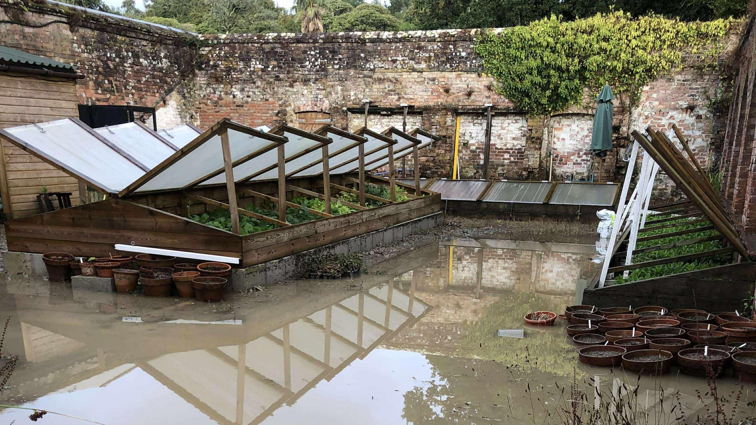A large pool of brown coloured muddy water surrounds some cold frames. The glass windows are open and green plants can be seen inside.