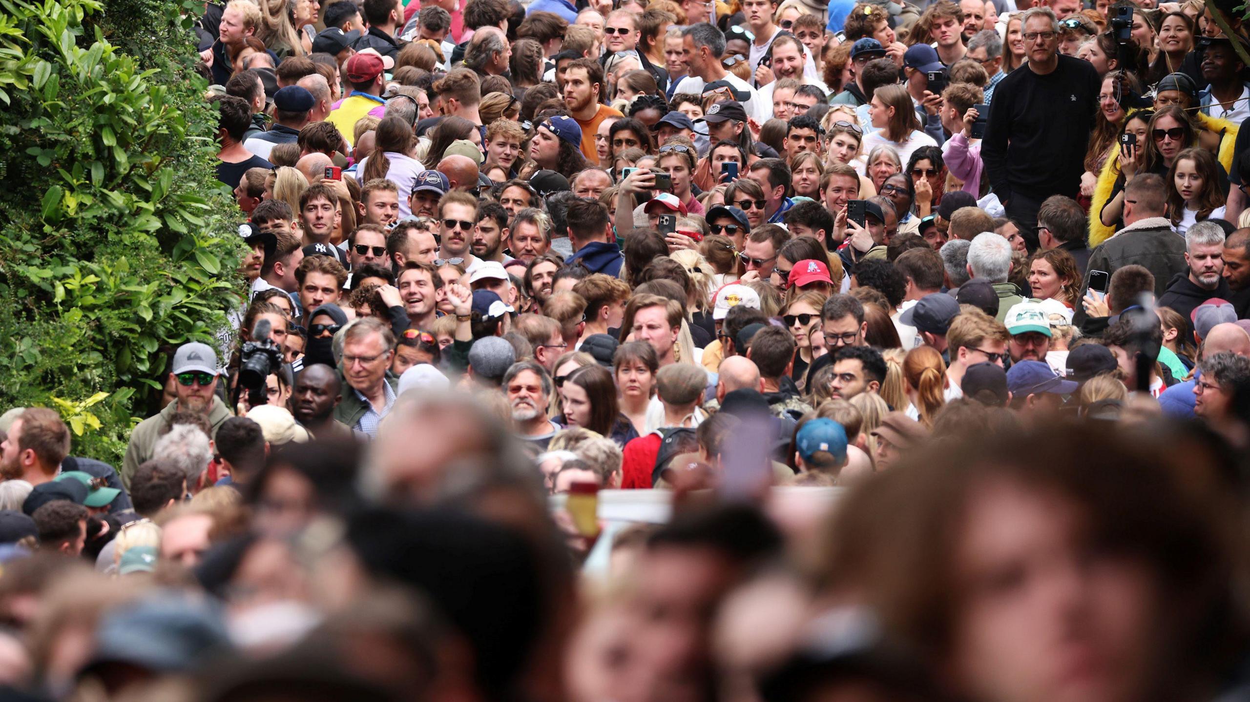 Hundreds of people pack the side of the slope of Cooper's Hill to watch the annual Gloucestershire Cheese Rolling races. They are very close together