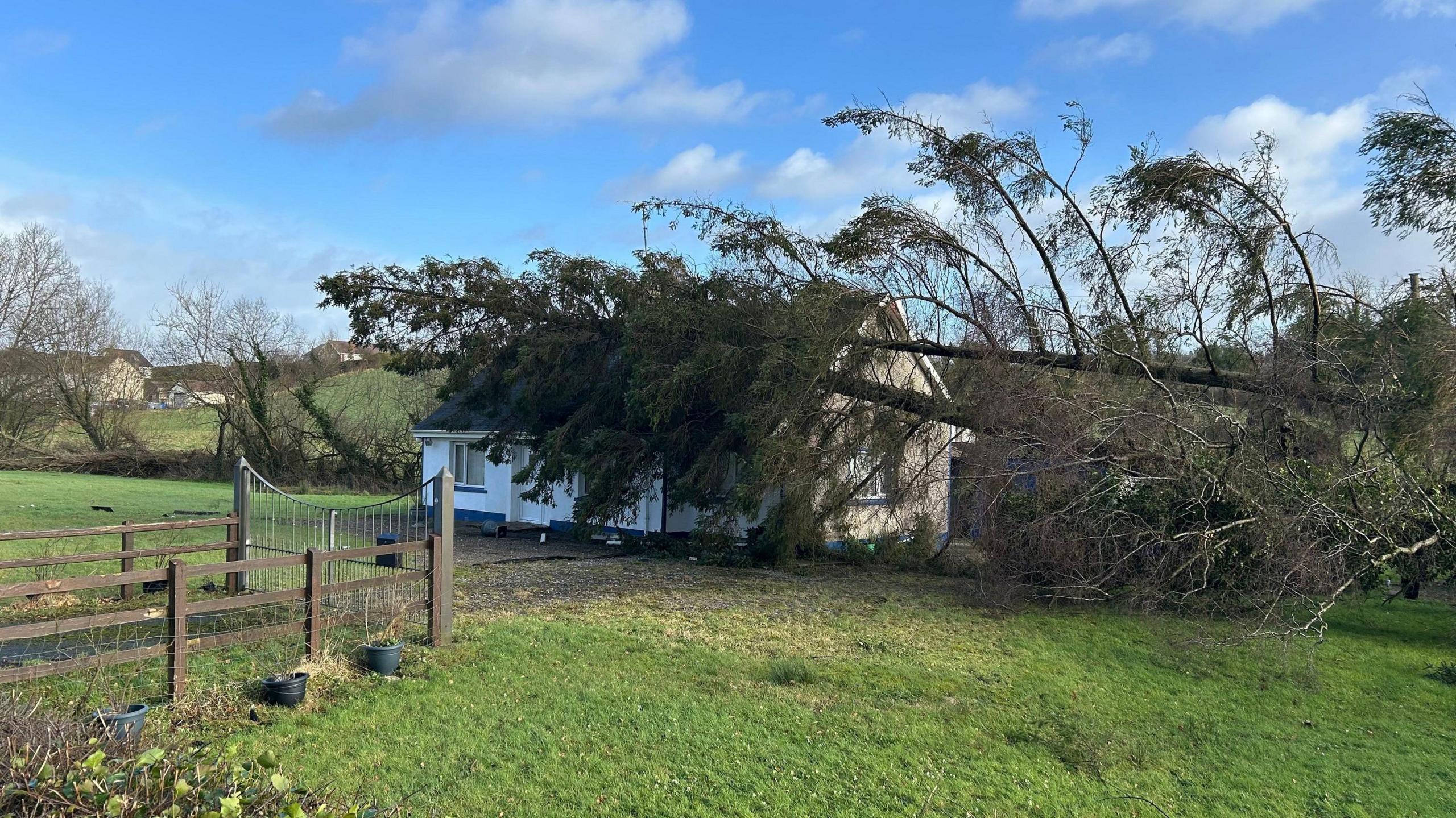 A tree fallen onto a bungalow