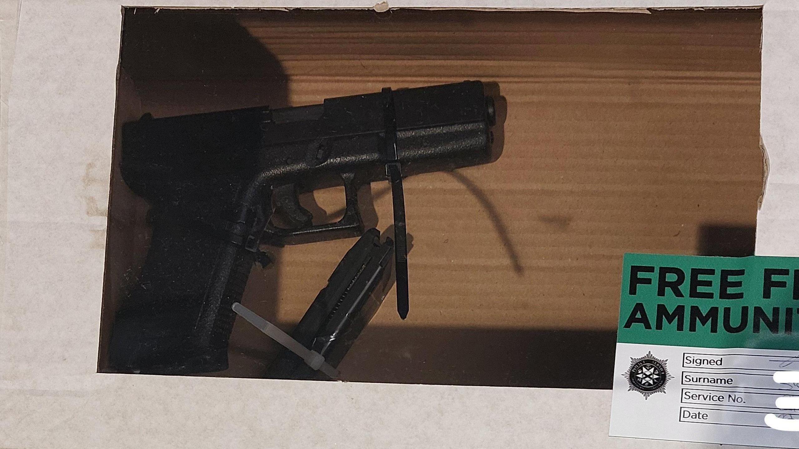 Two guns in forensic boxes