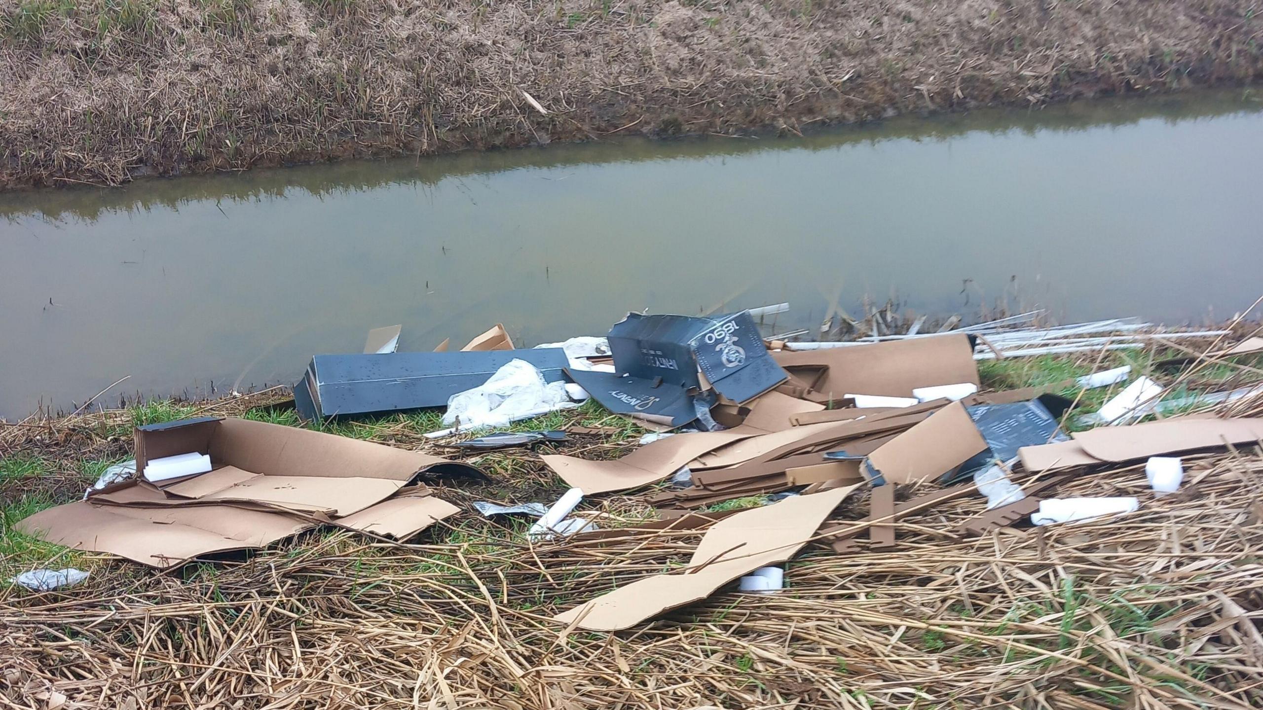 Cardboard boxes and pieces of cardboard has been dumped by the side of a body of water.