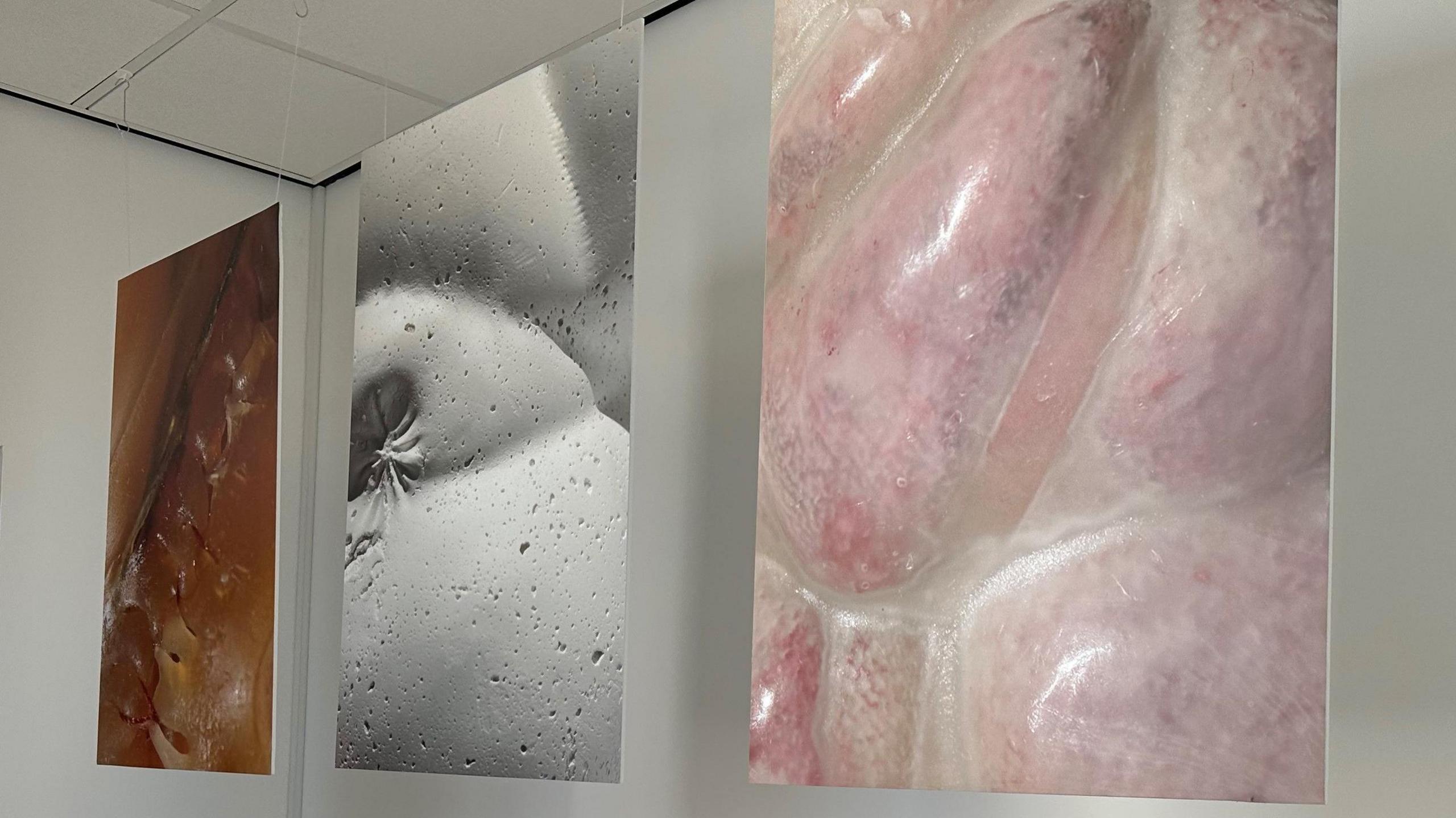 Three boards featuring close-up images of the materials used, hanging from the ceiling.