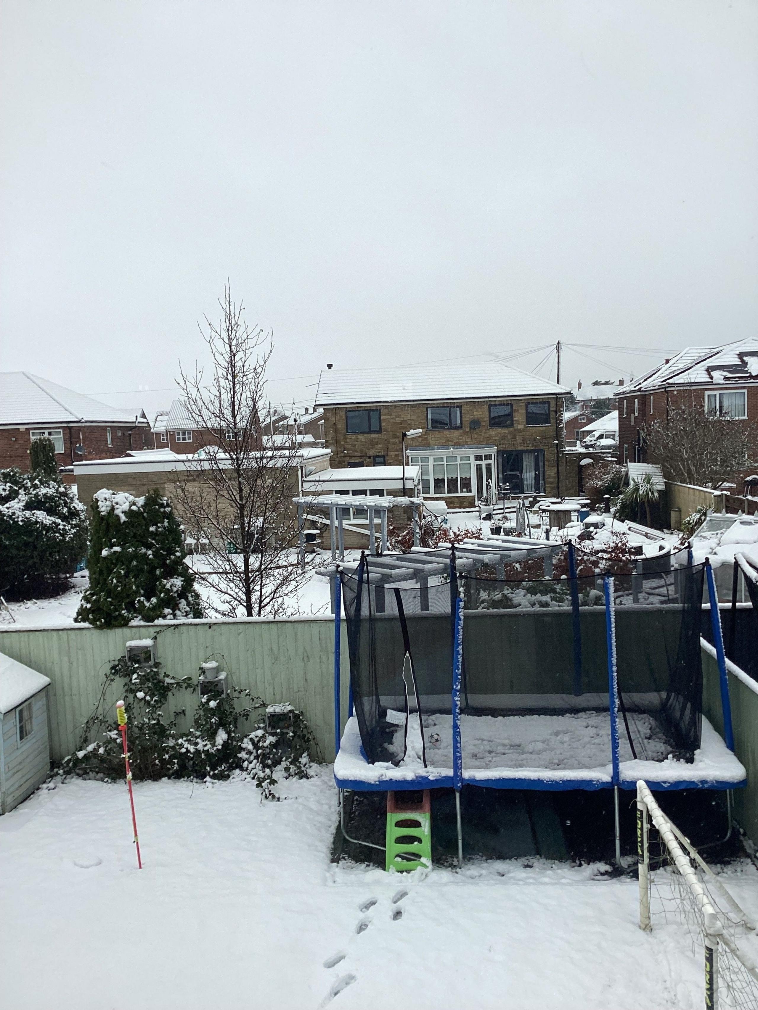 A snowy back garden. 