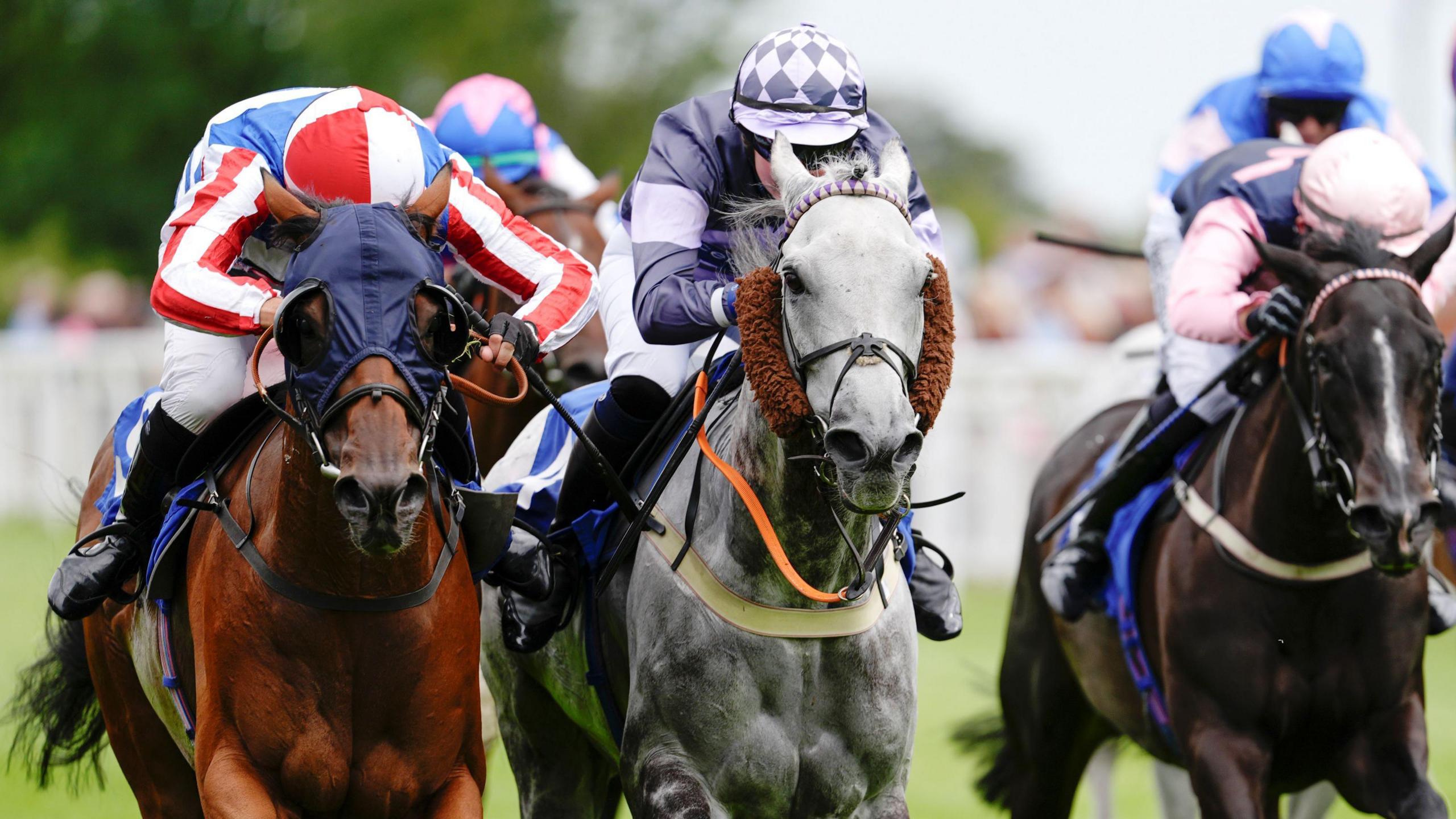 A group of three jockeys ride their horses towards the camera during a race at Salisbury Racecourse. The jockeys are wearing a variety of colours on their tops and hats, and all the horses have their nostrils flared as they head to the finish line