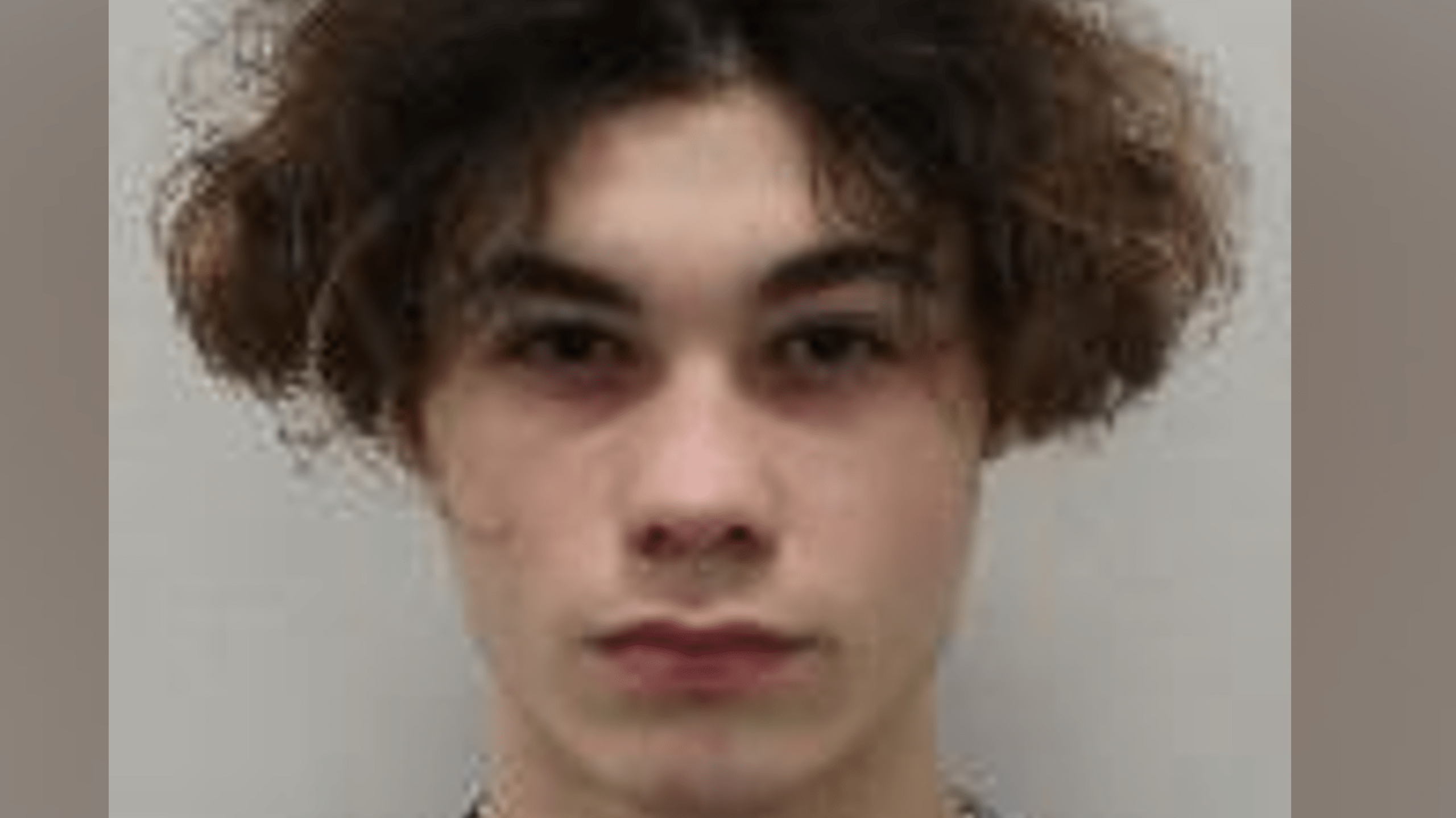 Areece Lloyd-Hall custody photo. He wears a grey jumper and has brown curly hair. 