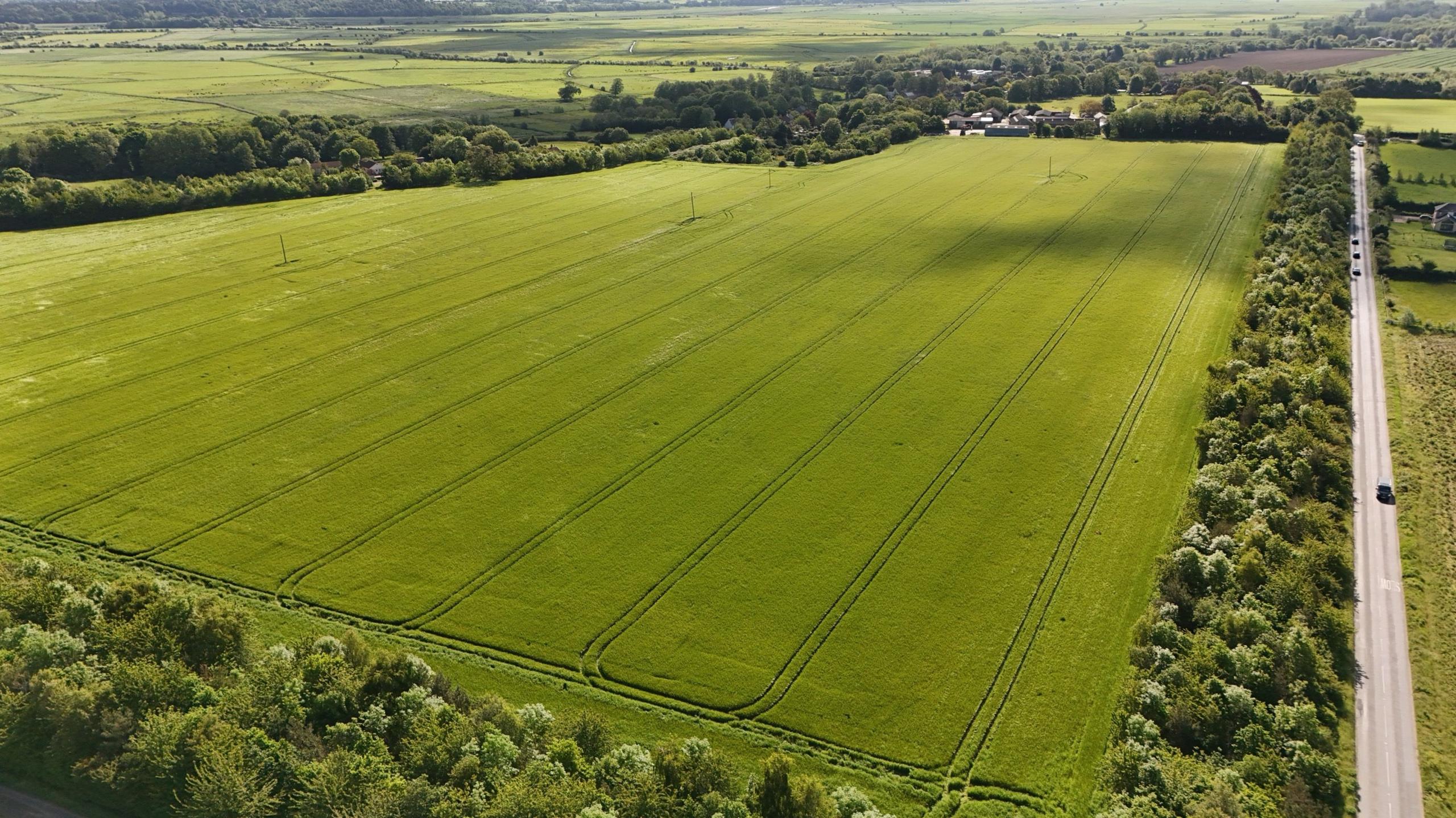 Aerial view of the proposed site