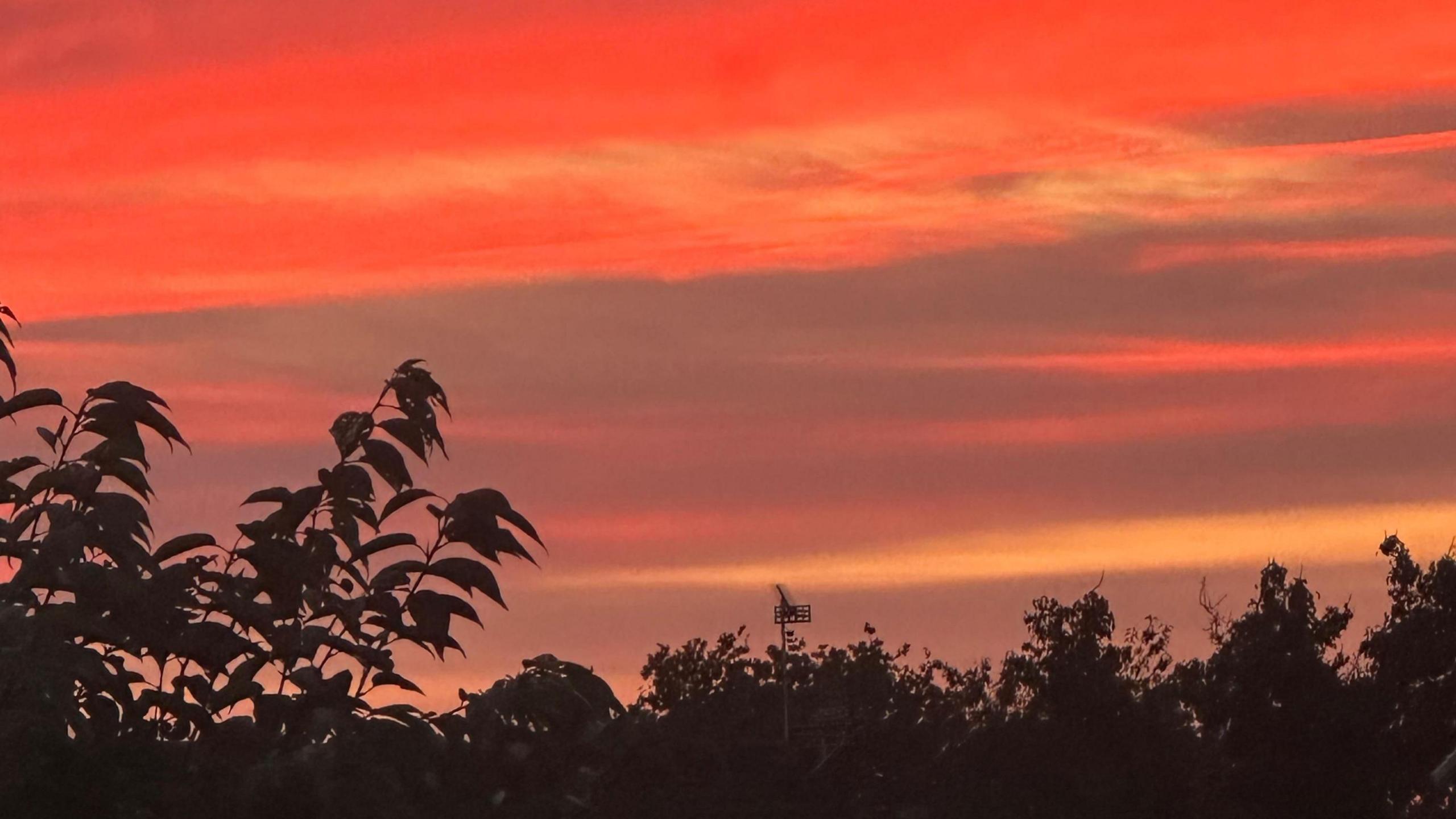 The sun setting over trees in Wolverhampton, the sky showing red and yellow stripes of colour