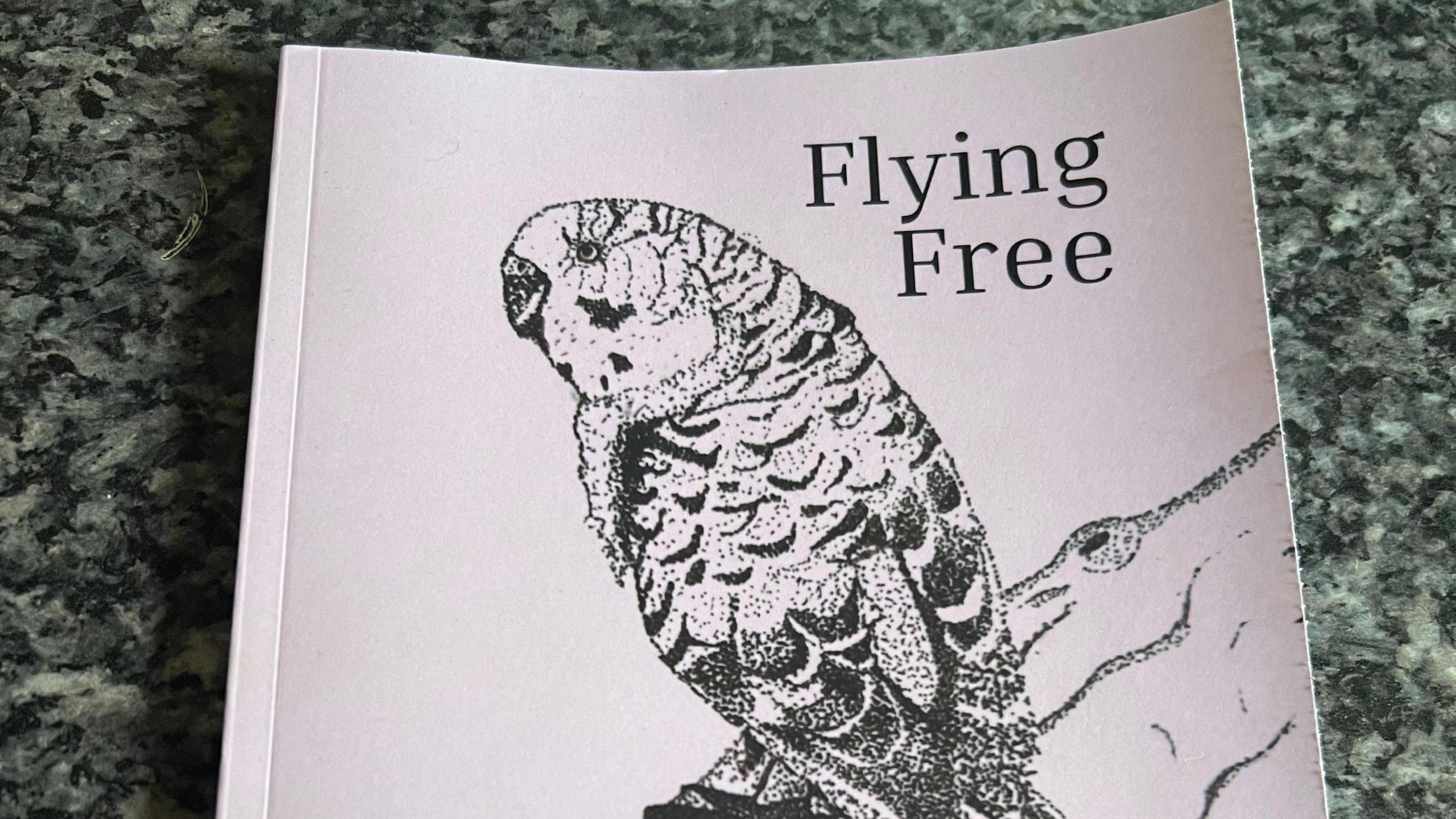 Budgie on Flying Free book