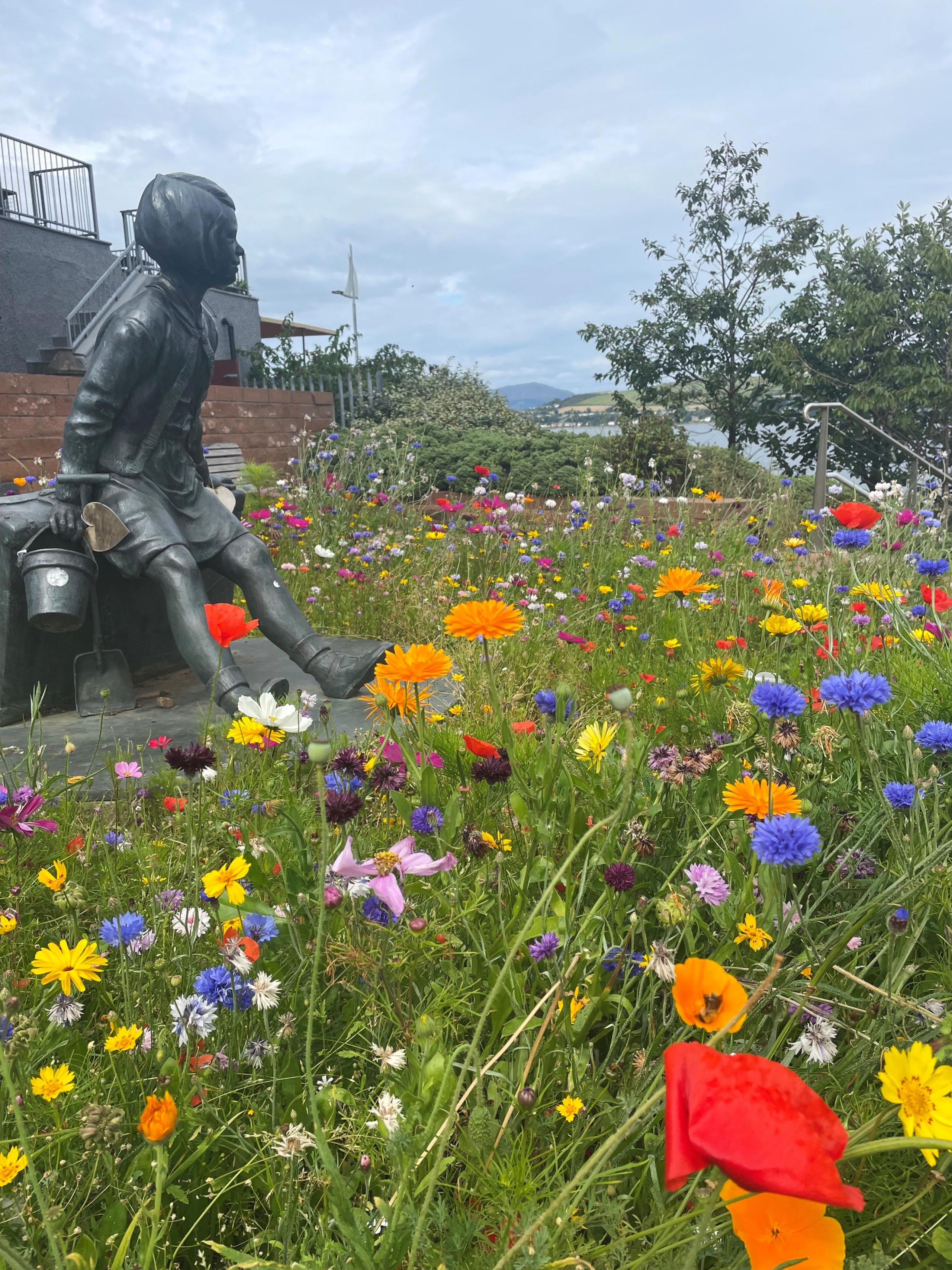 A bronze sculpture of a young girl sitting down is surrounded by a sea of wildflowers in bright orange, purple, pink and red with a row of trees in the distance and beyond that, the Firth of Clyde.