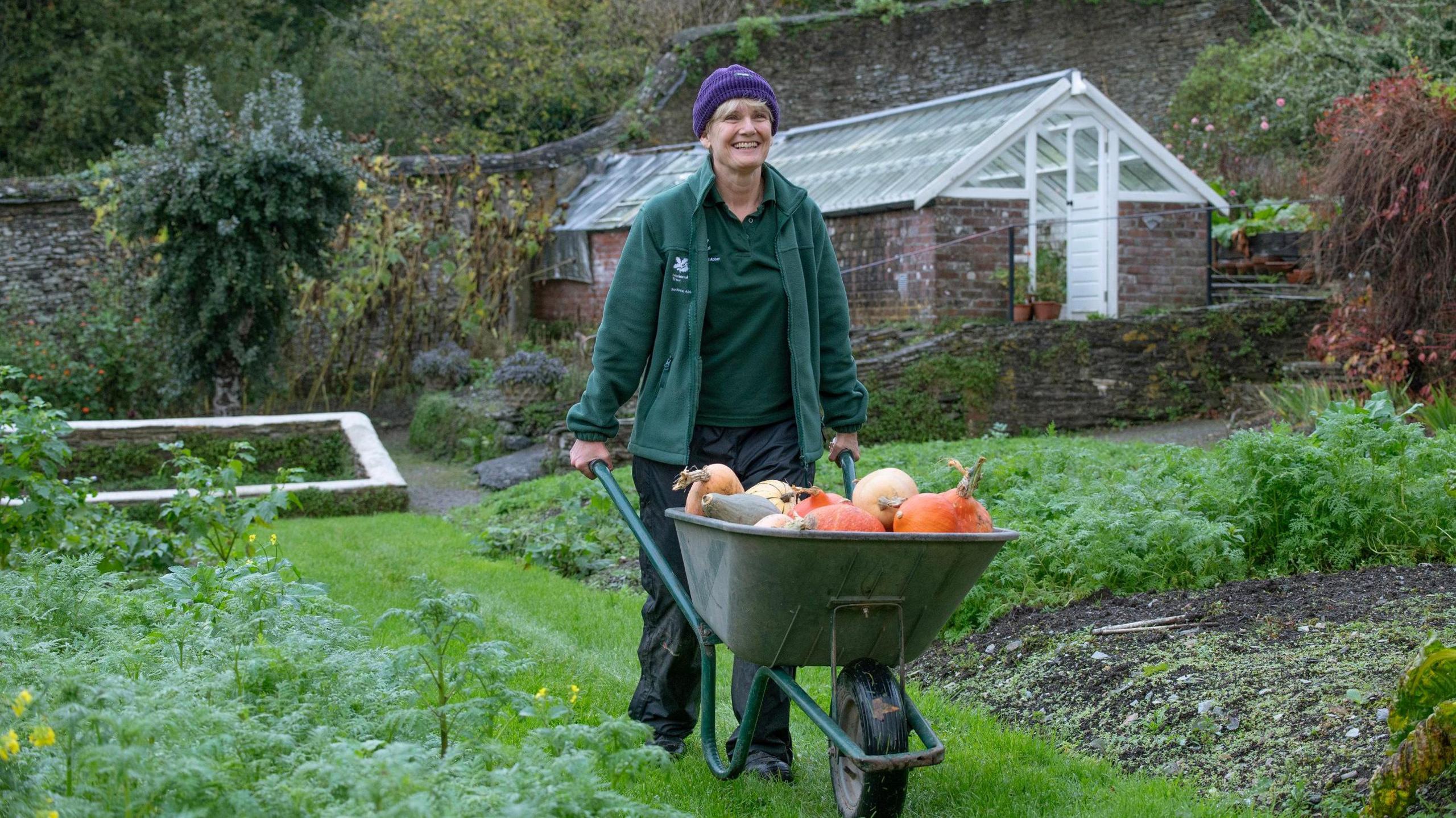 A woman wearing a green T-shirt and fleece and a purple woolly hat is wheeling a wheelbarrow across a walled garden. She is smiling and the barrow is full of different types of squash. She is crossing a grass area between two vegetable patches. Behind her is a greenhouse and a planter.