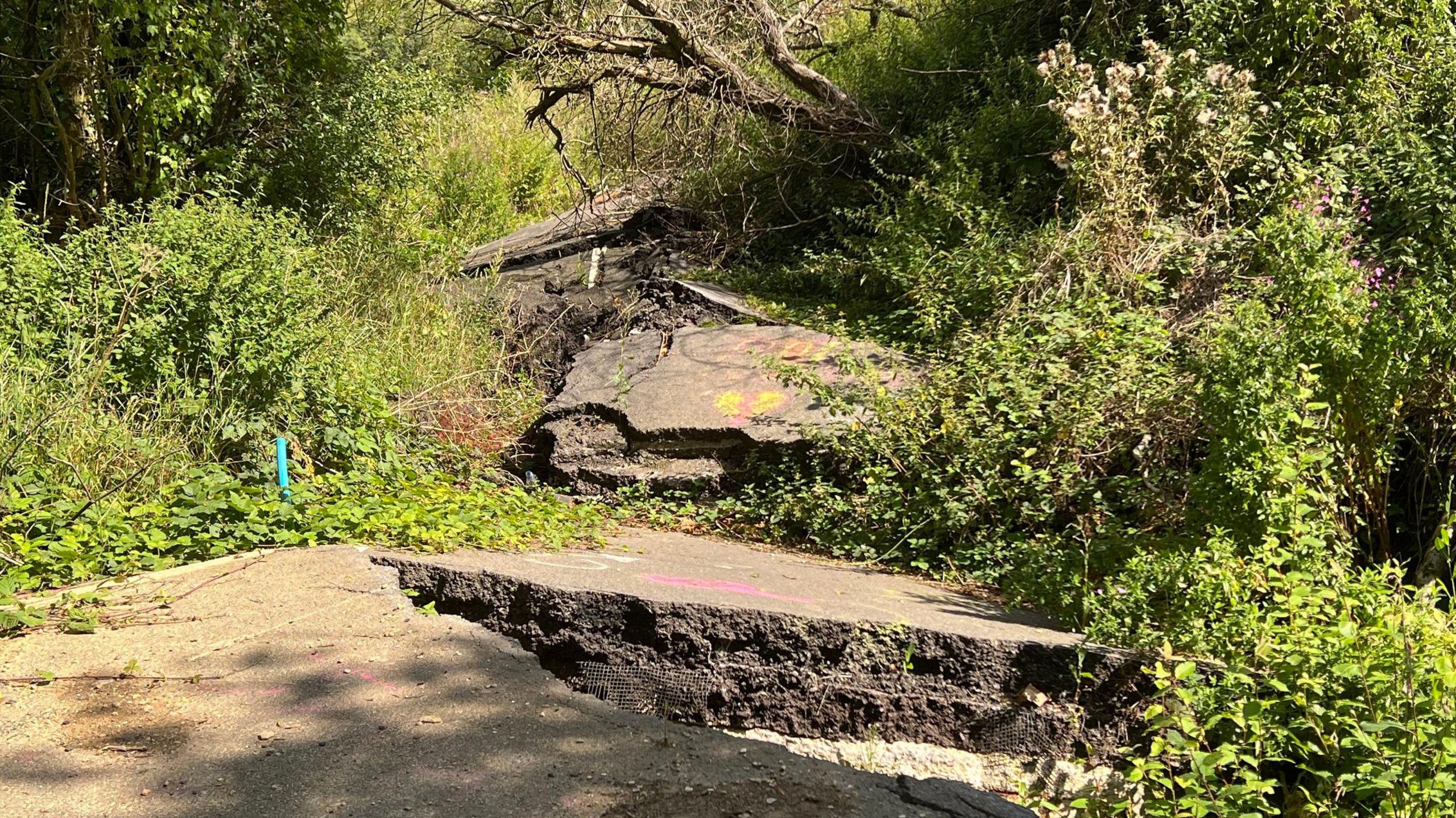 Large chunks of the road can be seen with greenery growing around them. It looks as though the road has been cut up into three, with metre-long gaps between each section.