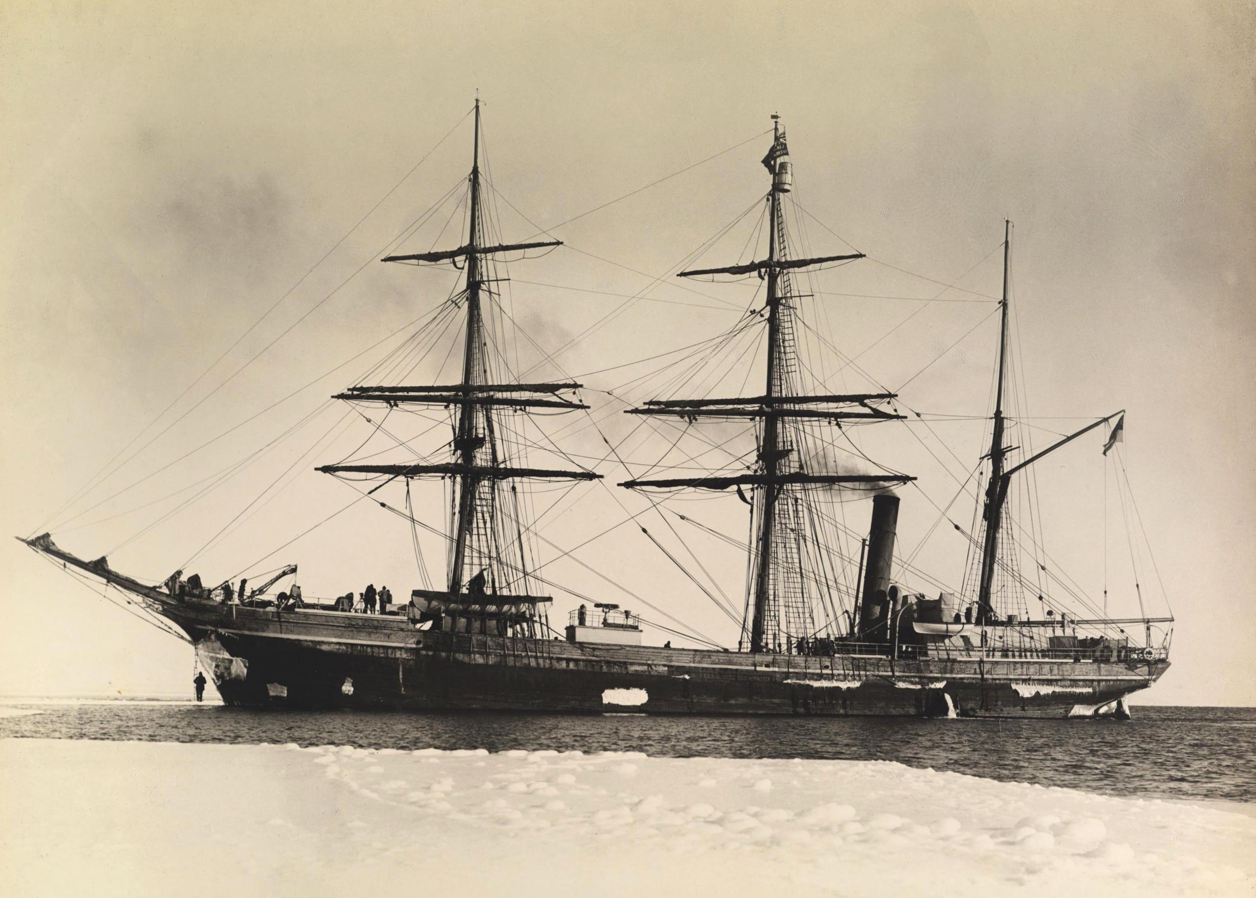 Terra Nova