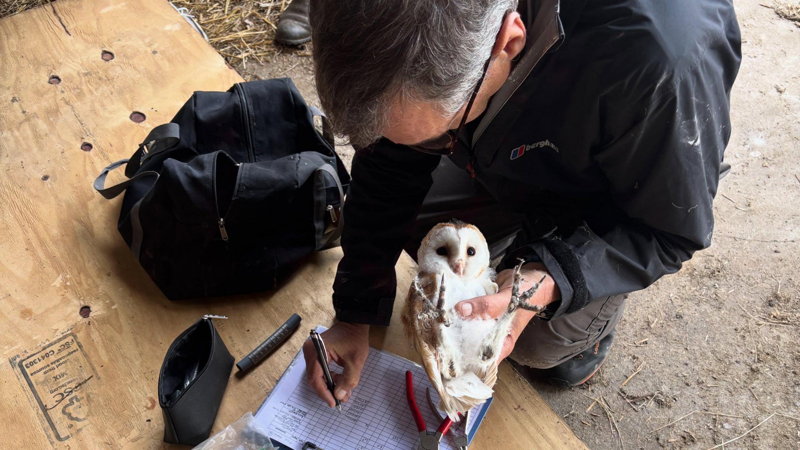 Simon's hand pictured in the image. He is holding a white owl in one hand and writing down details on a piece of paper with the other hand.