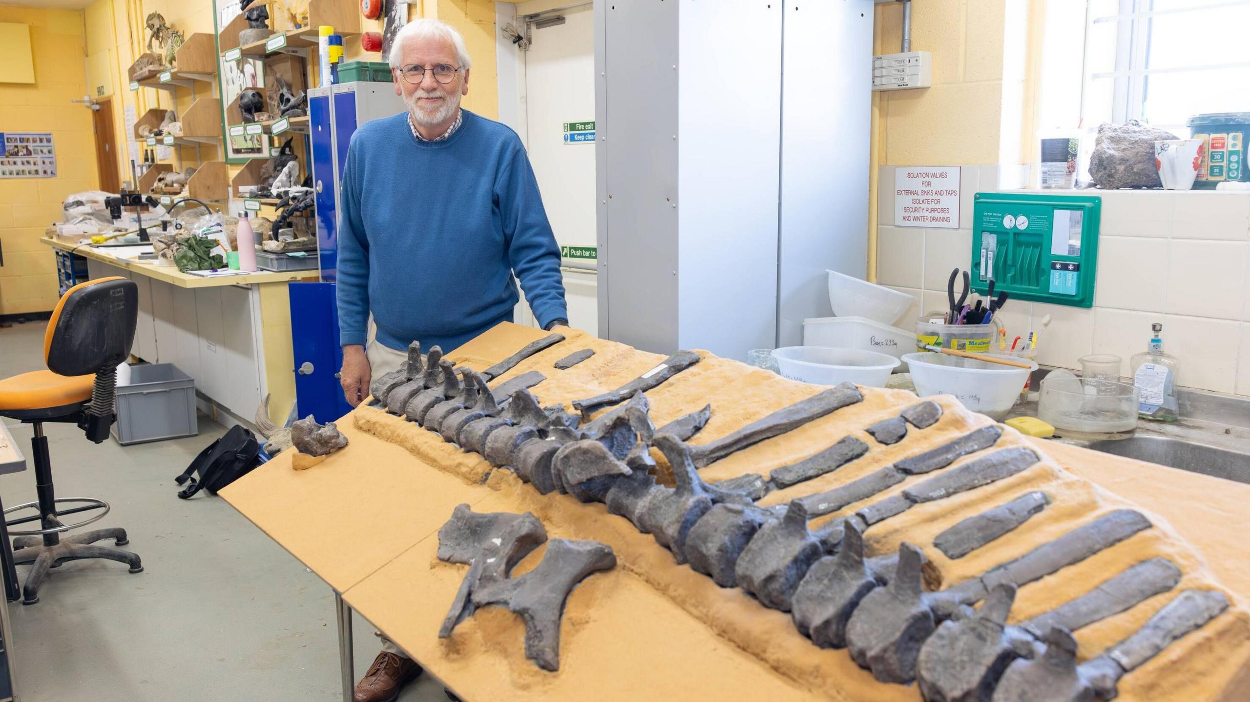 An older man in a blue jumper smiles next to a collection of fossil dinosaur bones