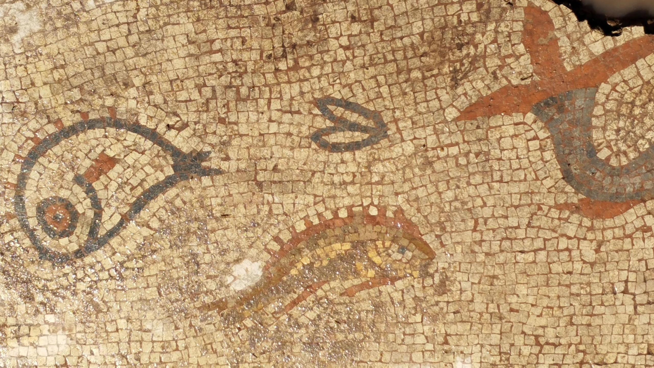 photograph of mosaic showing fish in different designs made out of small tiles on a plain background