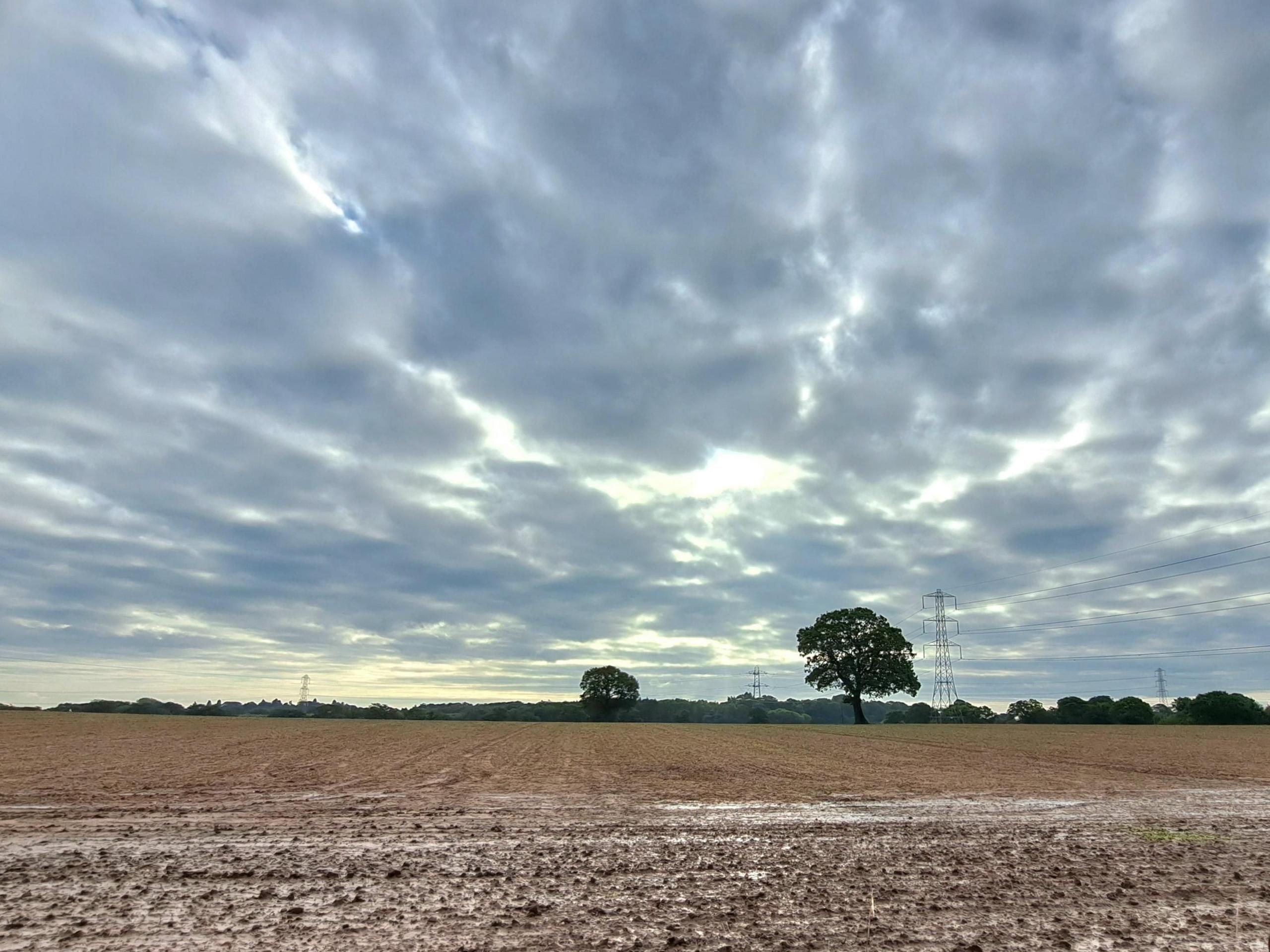 Grey skies with sun creeping through overlooking muddy fields and a single tree