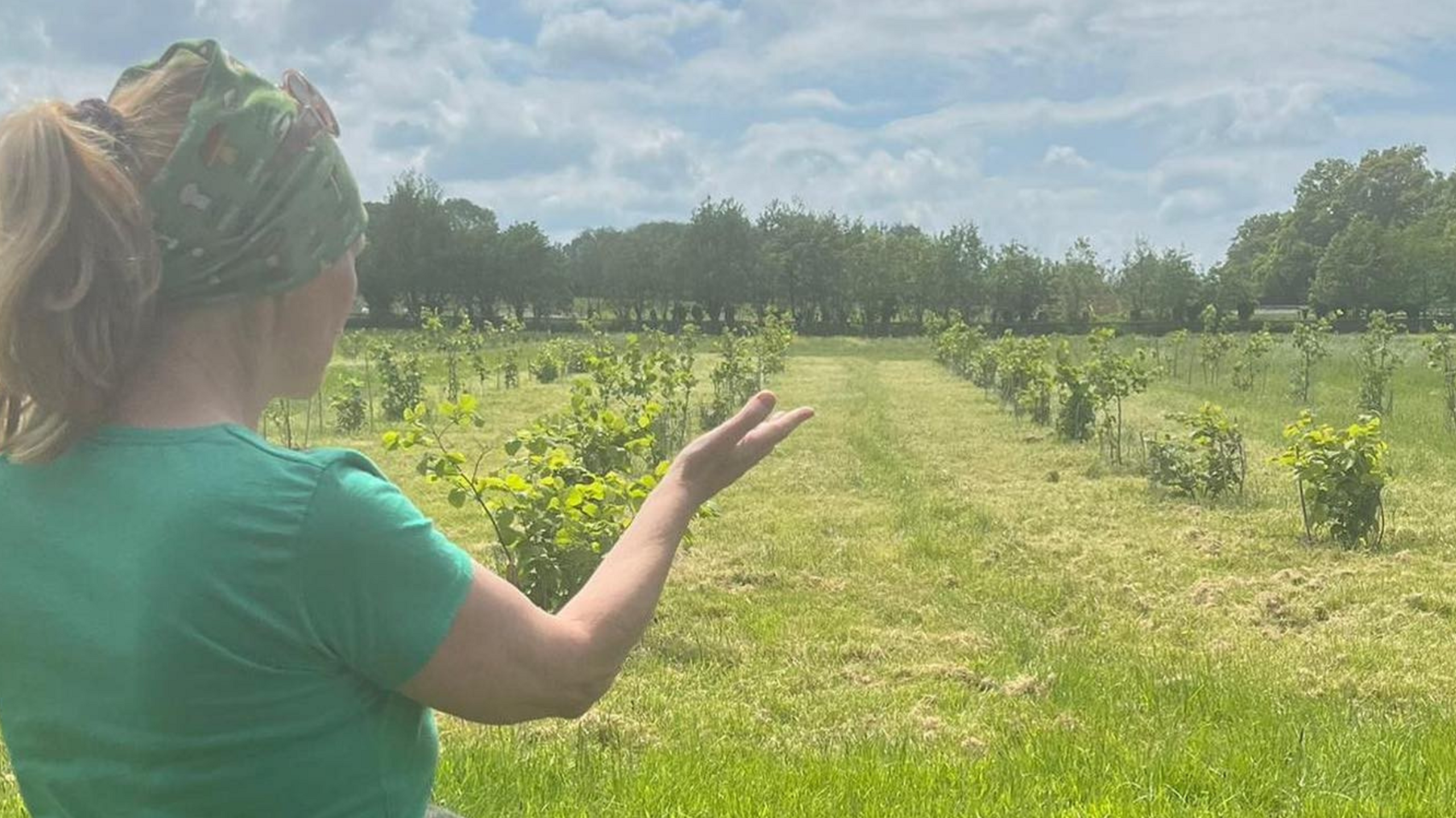 A woman wearing a headscarf and green t-shirt stands in front of a field planted with saplings.