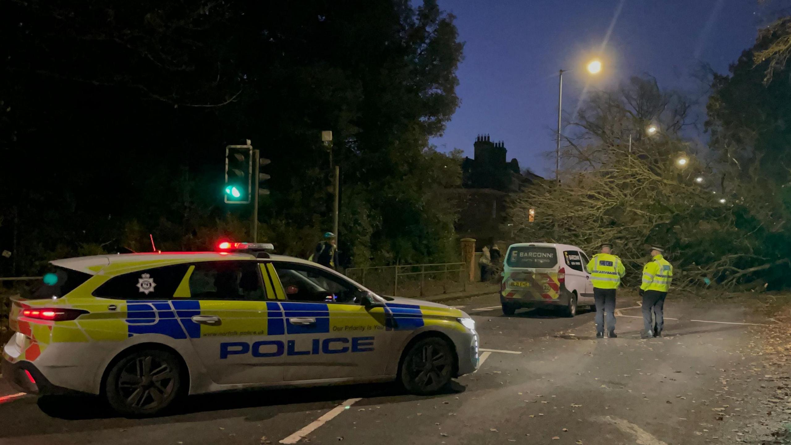 A police car is pictured parked in front of a fallen tree. Two officers in high-vis jackets look on at the tree. A white van is also parked in front of the tree.